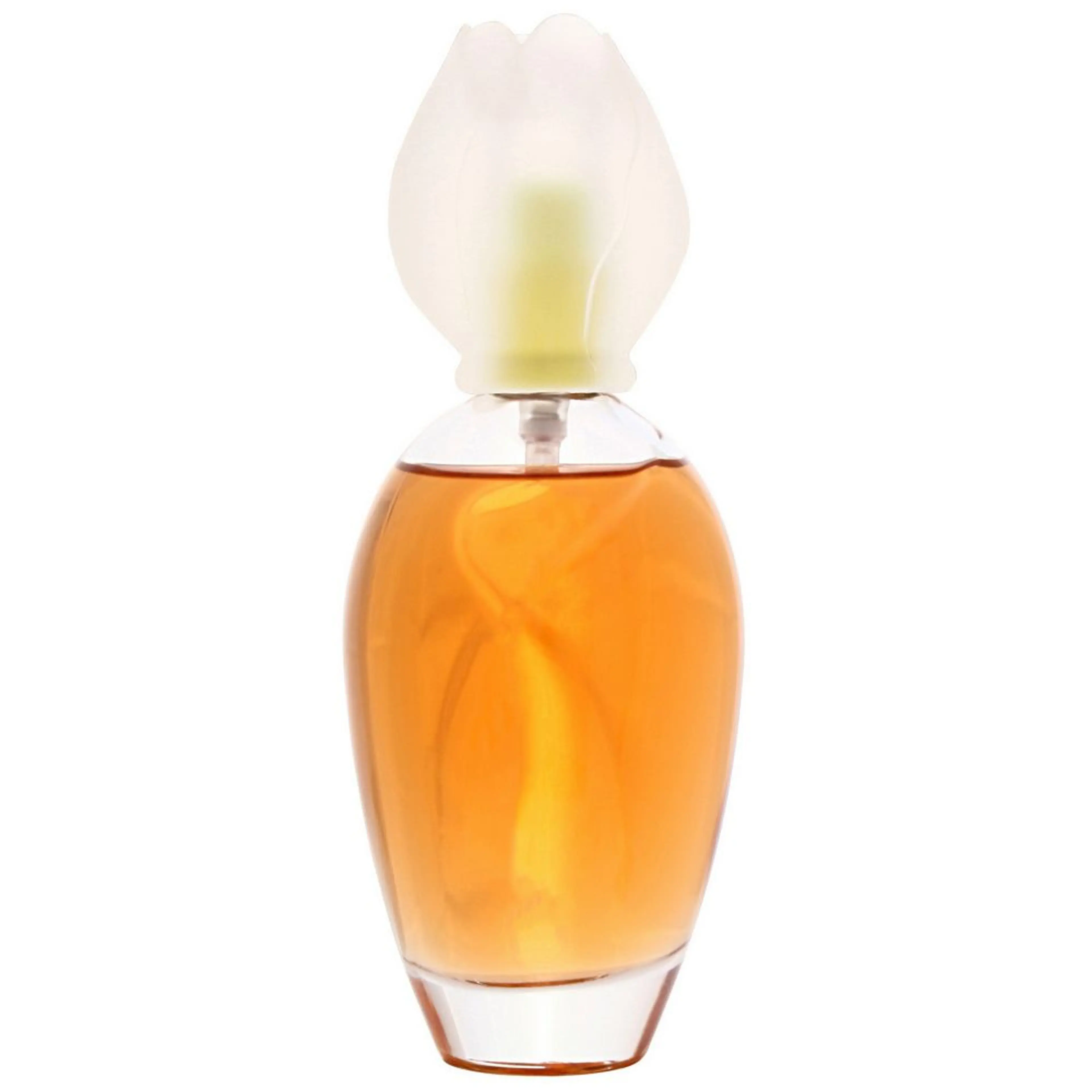 Fleur de Narcisse