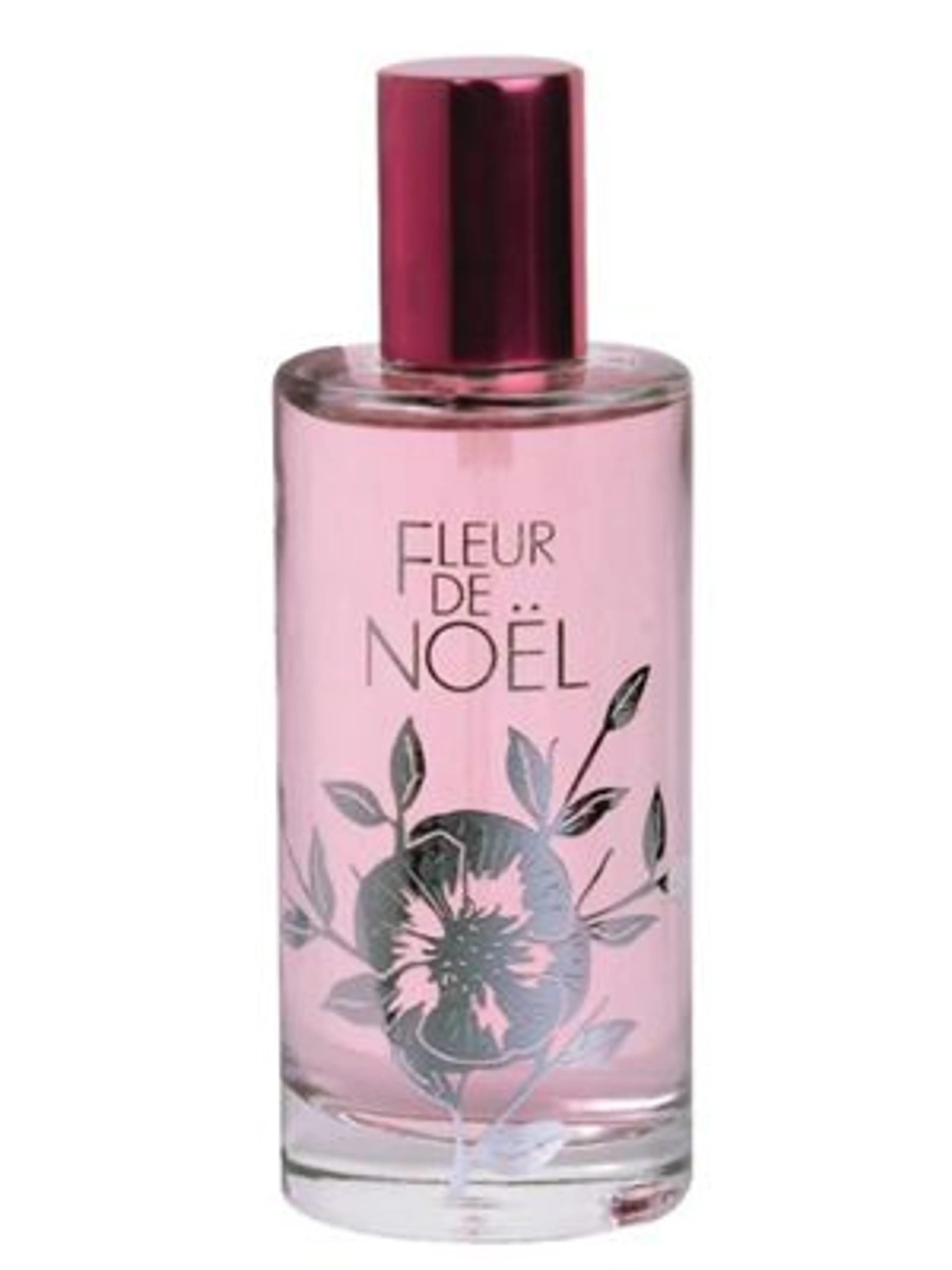 Fleur de Noel