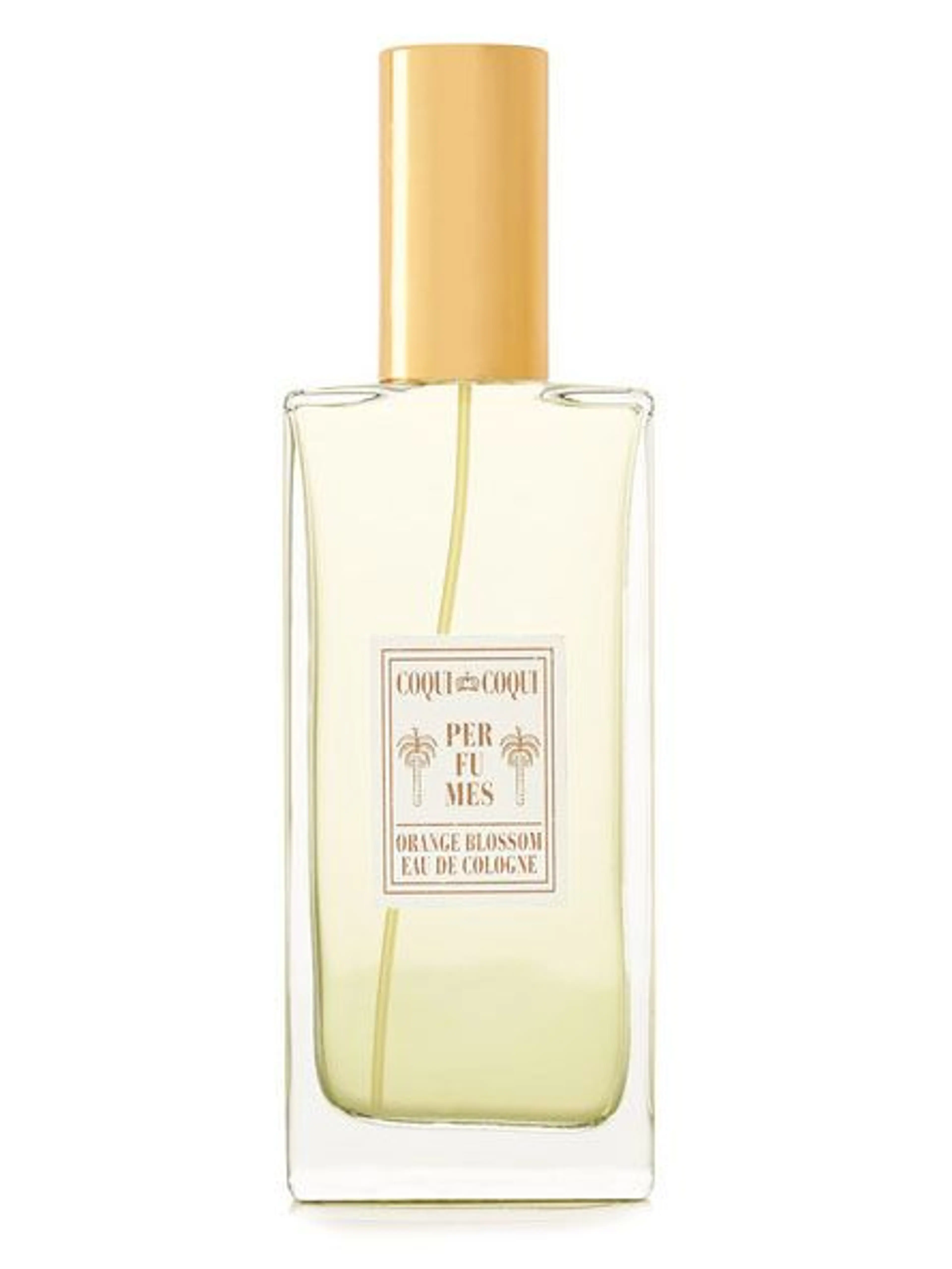 Flor de Naranjo