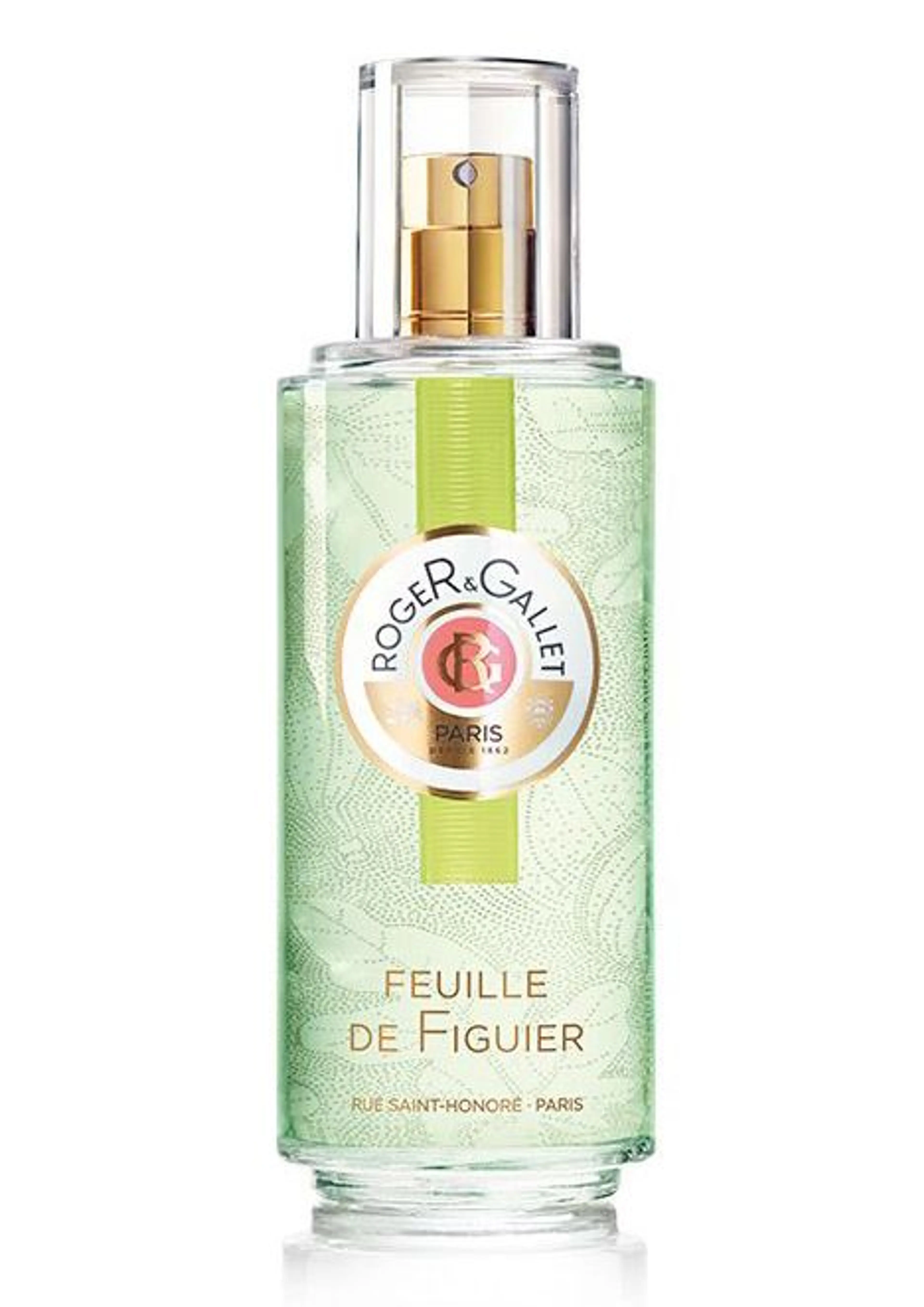Feuille de Figuier