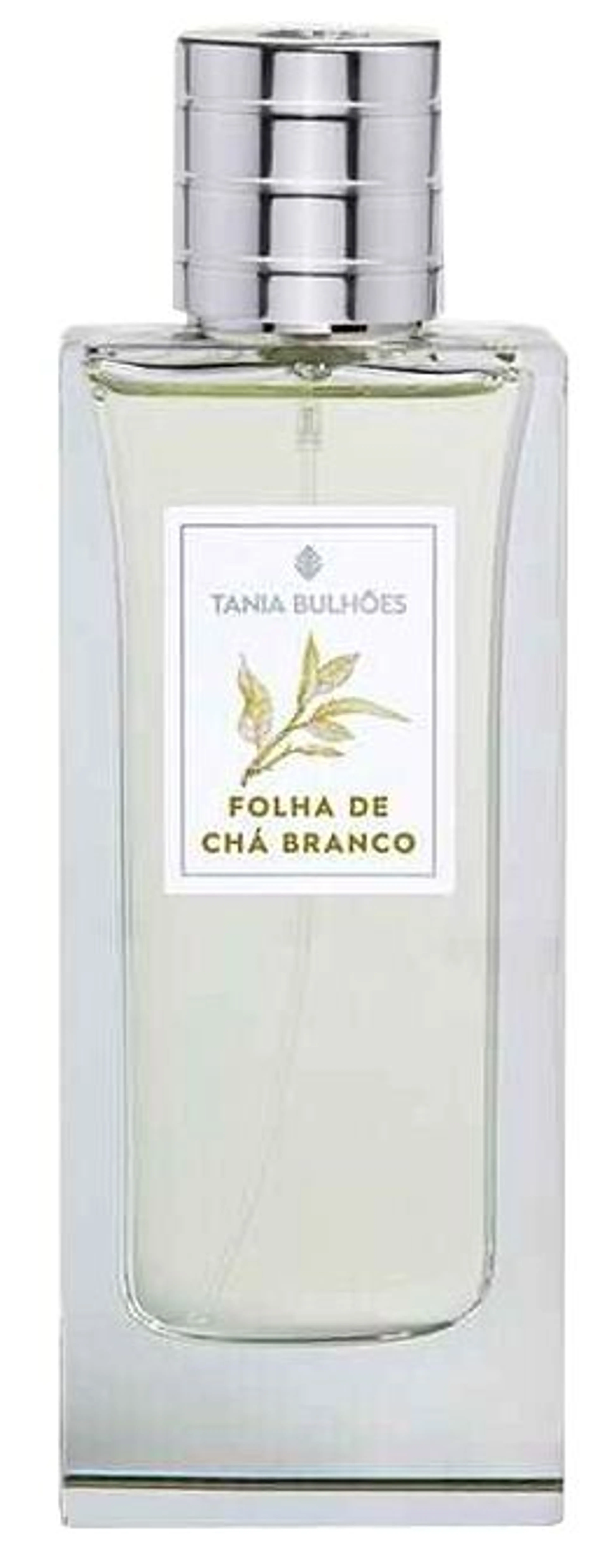 Folha de Chá Branco