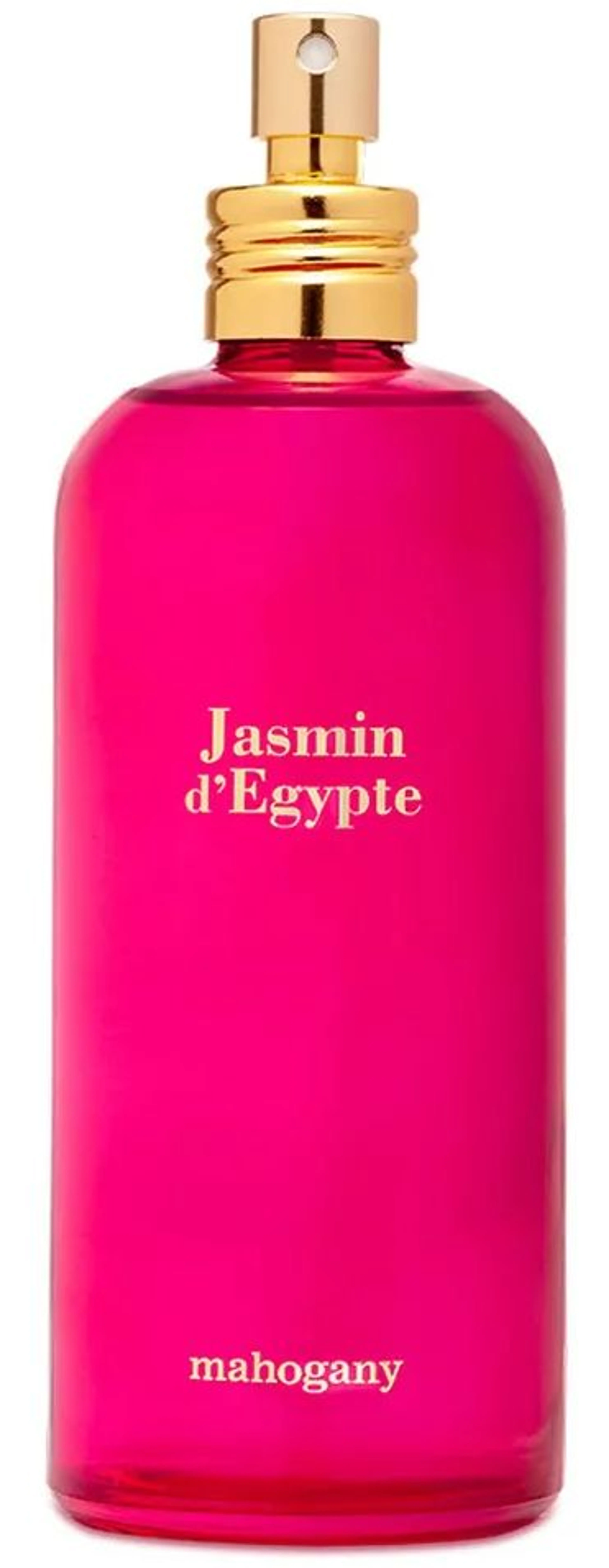 Jasmin D'Egypte
