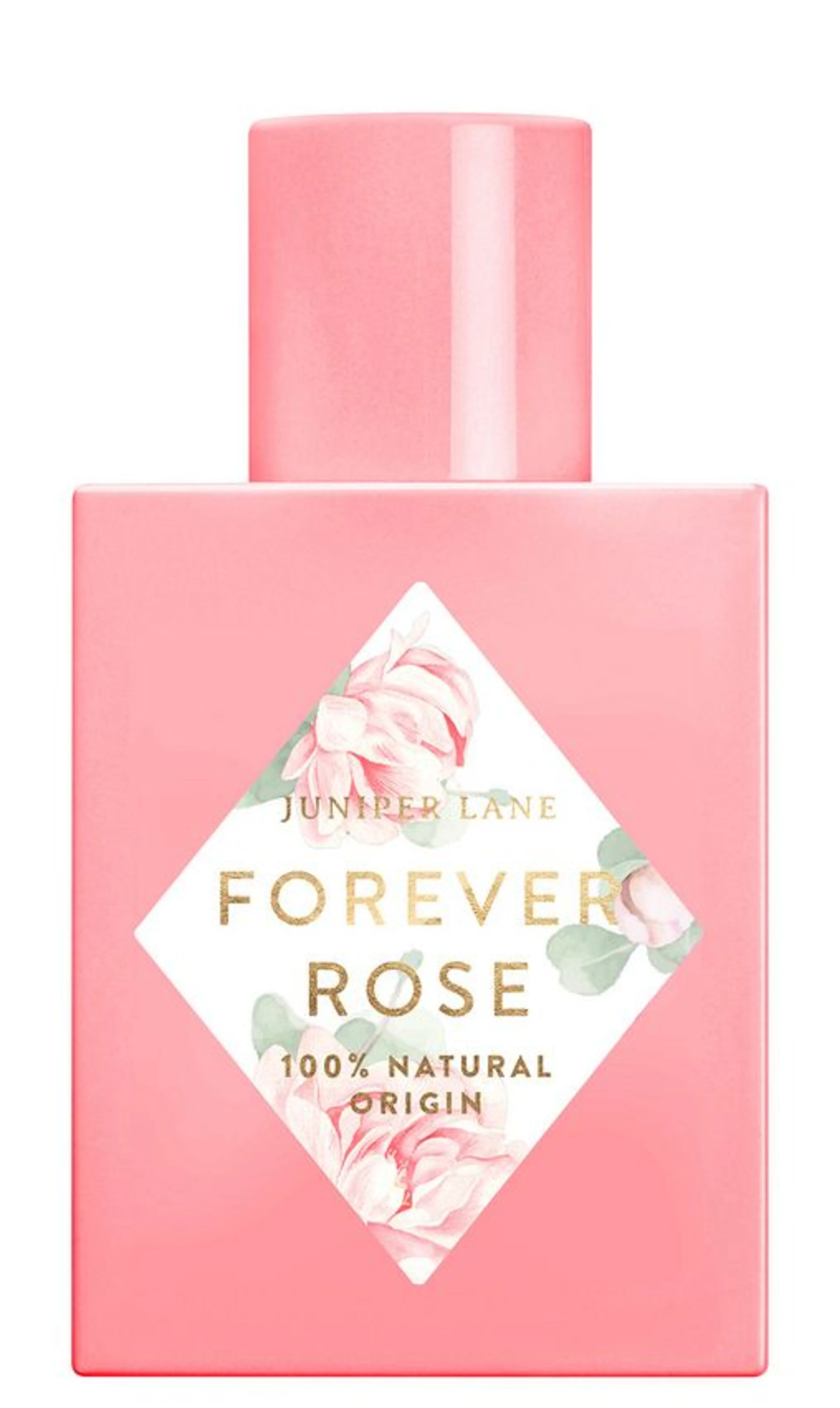 Forever Rose