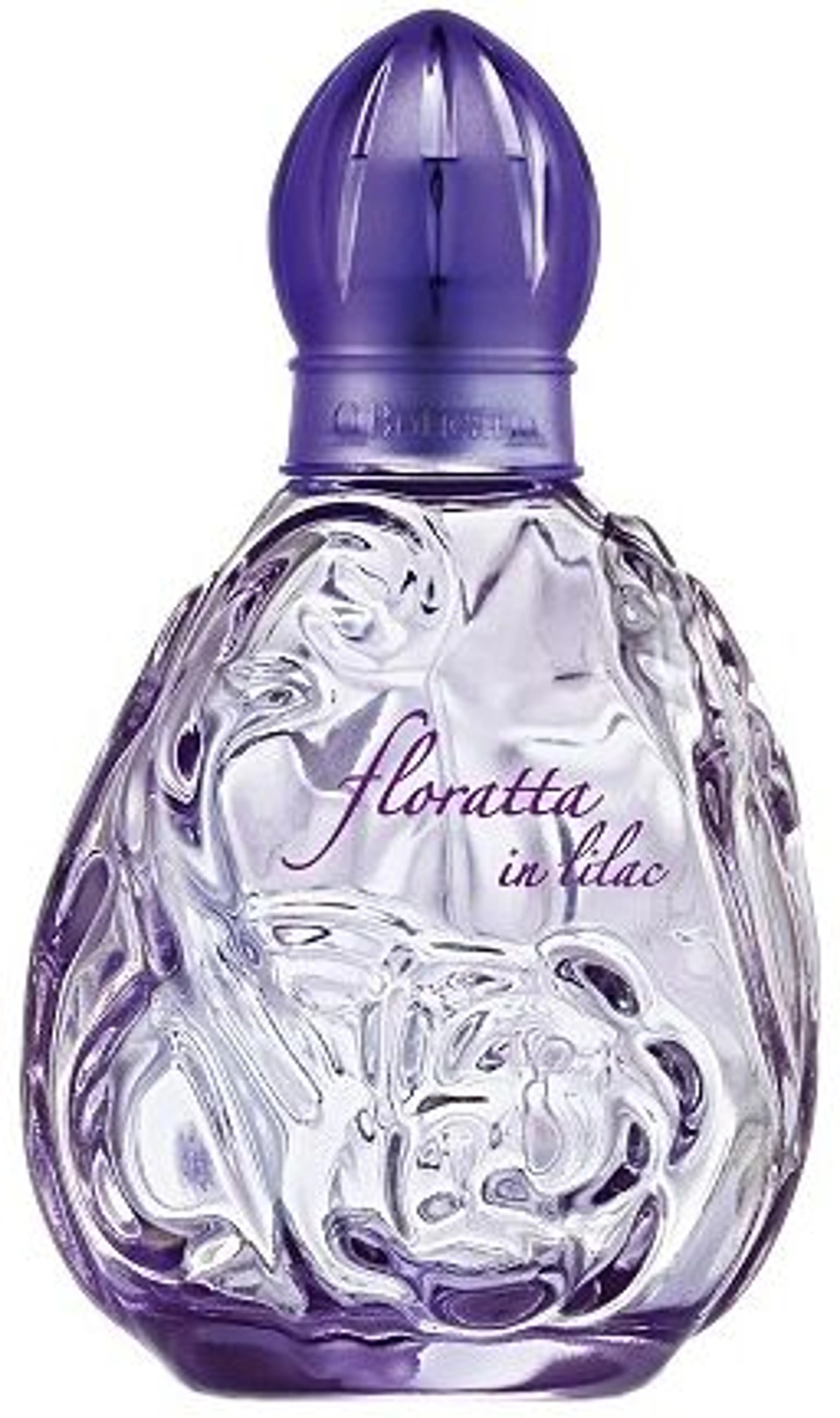Floratta in Lilac