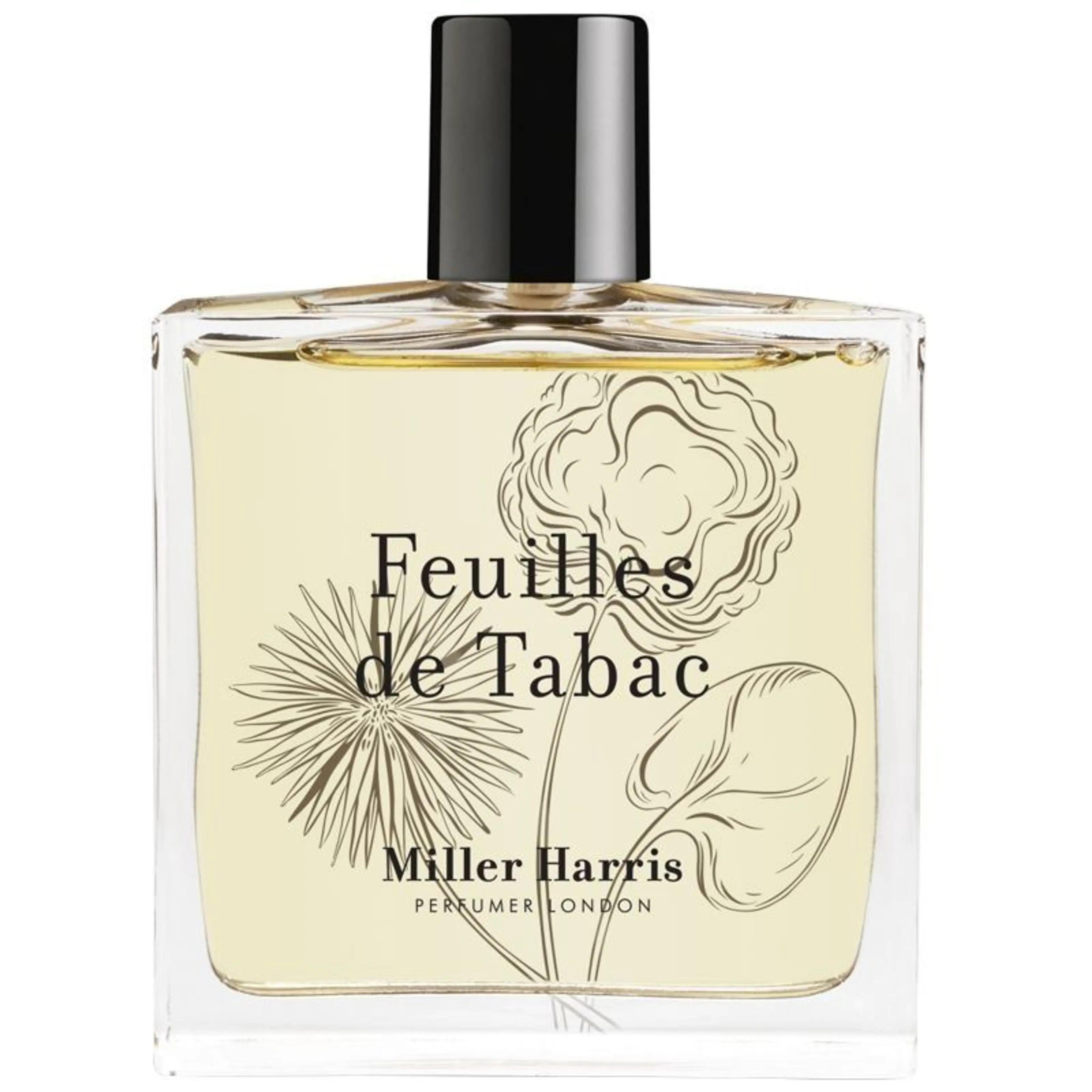 Feuilles de Tabac