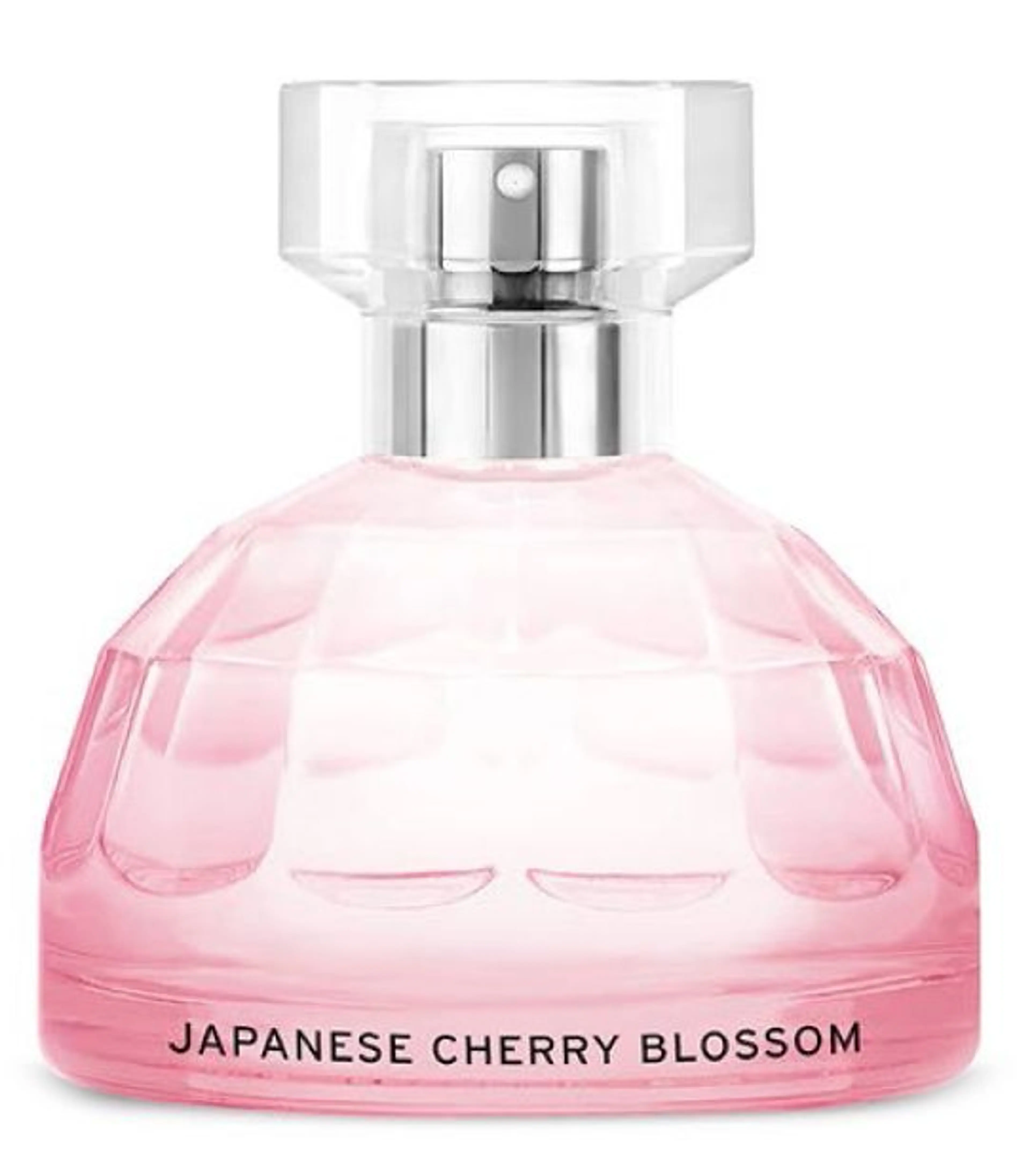 Japanese Cherry Blossom