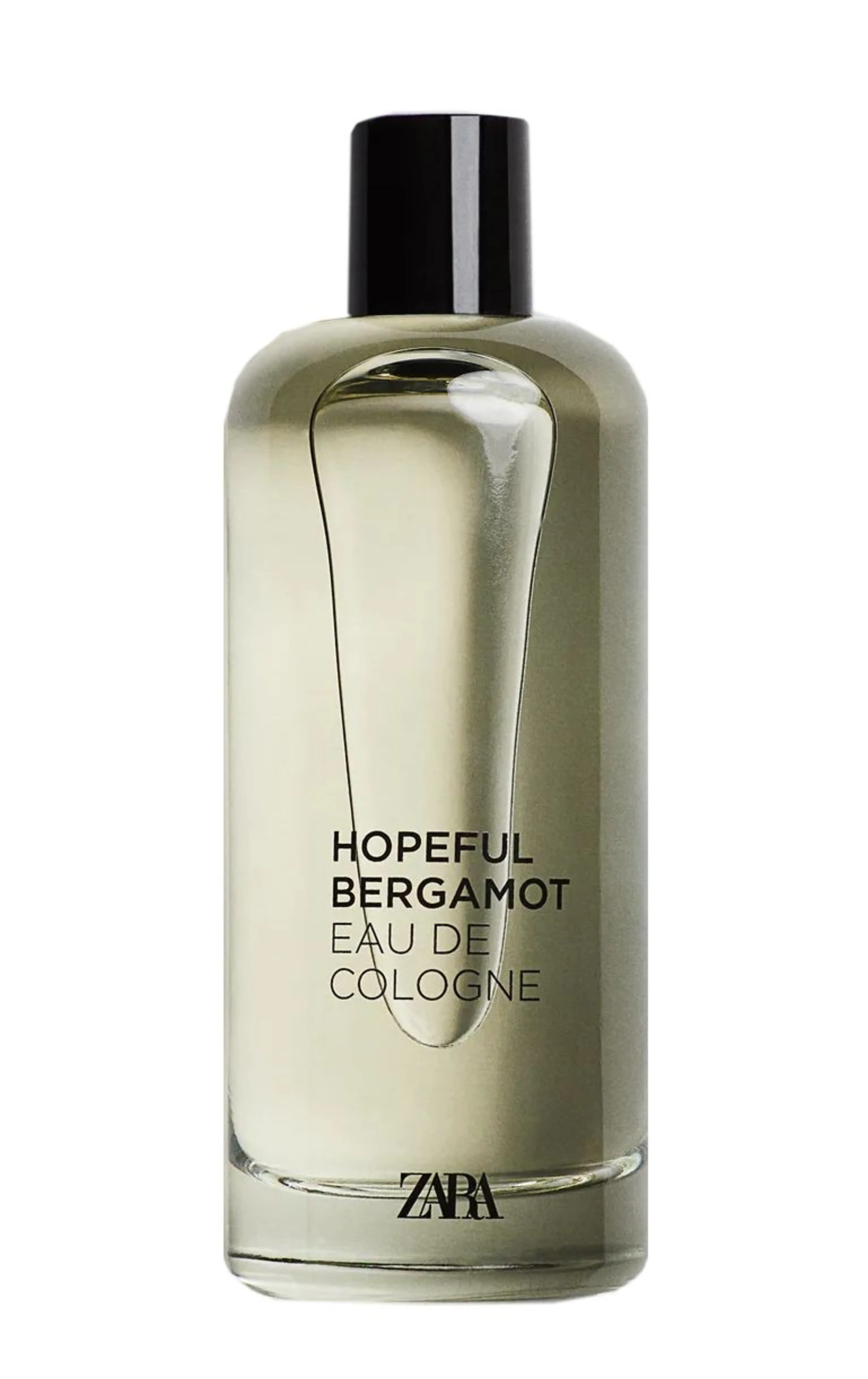 Hopeful Bergamot