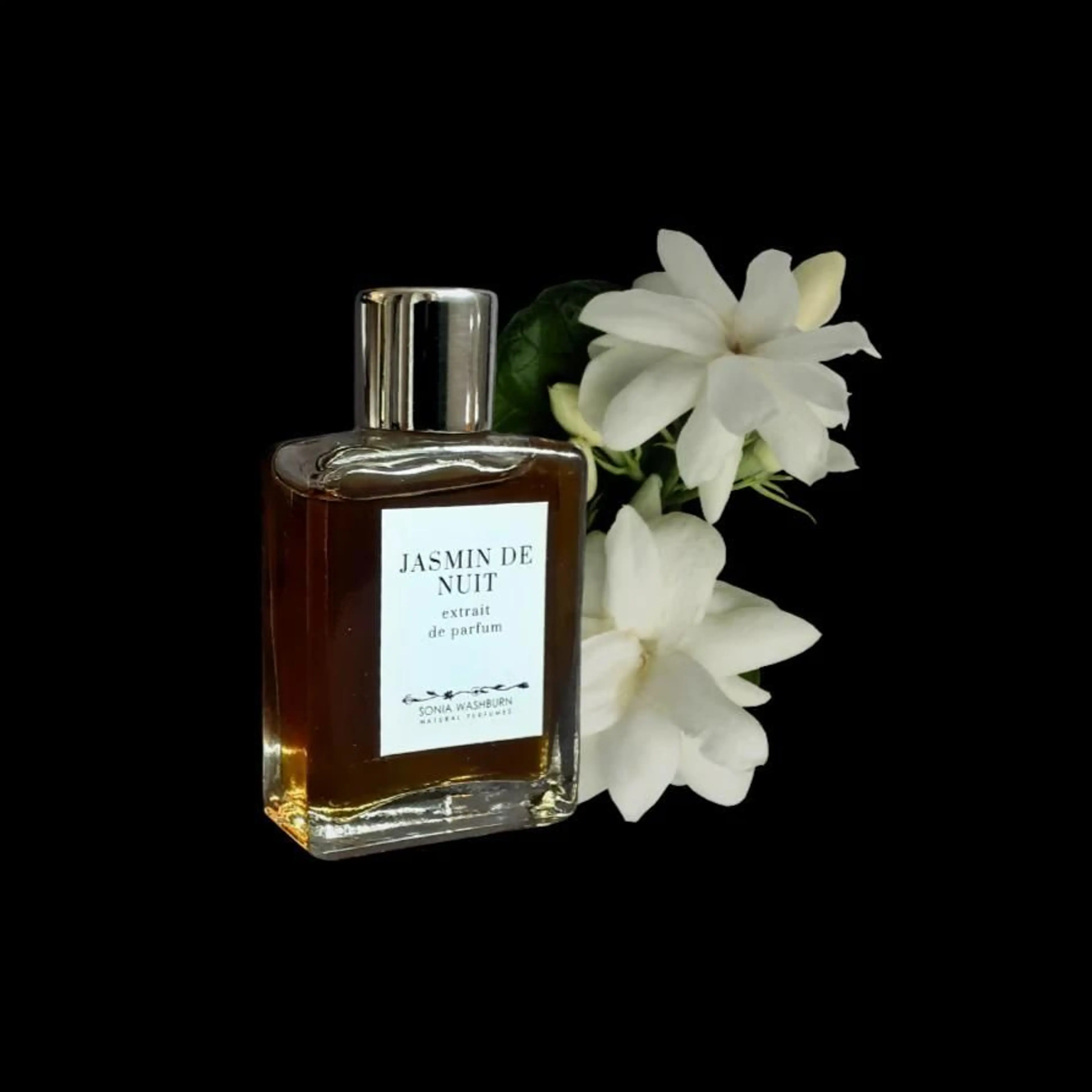 Jasmin De Nuit