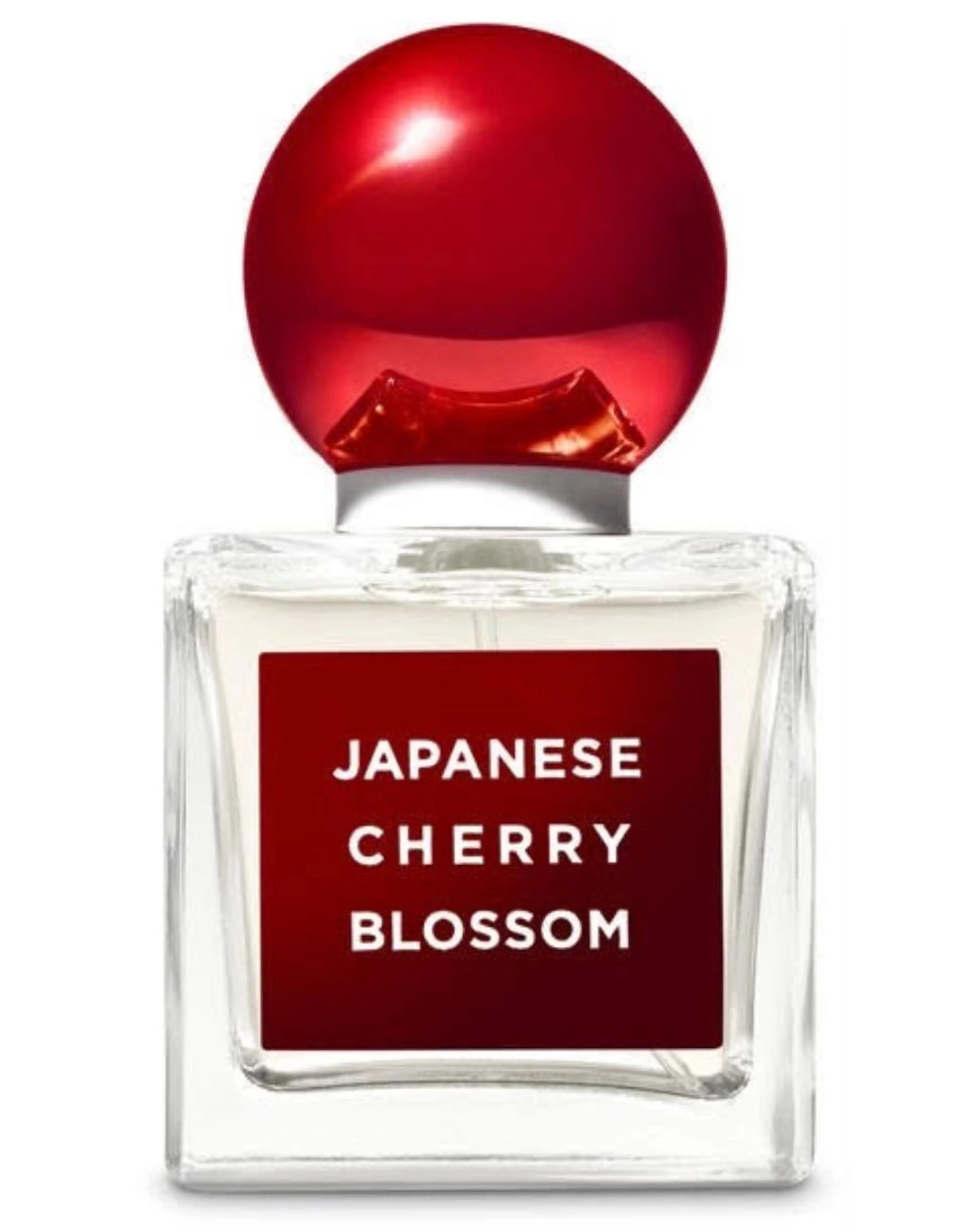 Japanese Cherry Blossom 2020 Edition