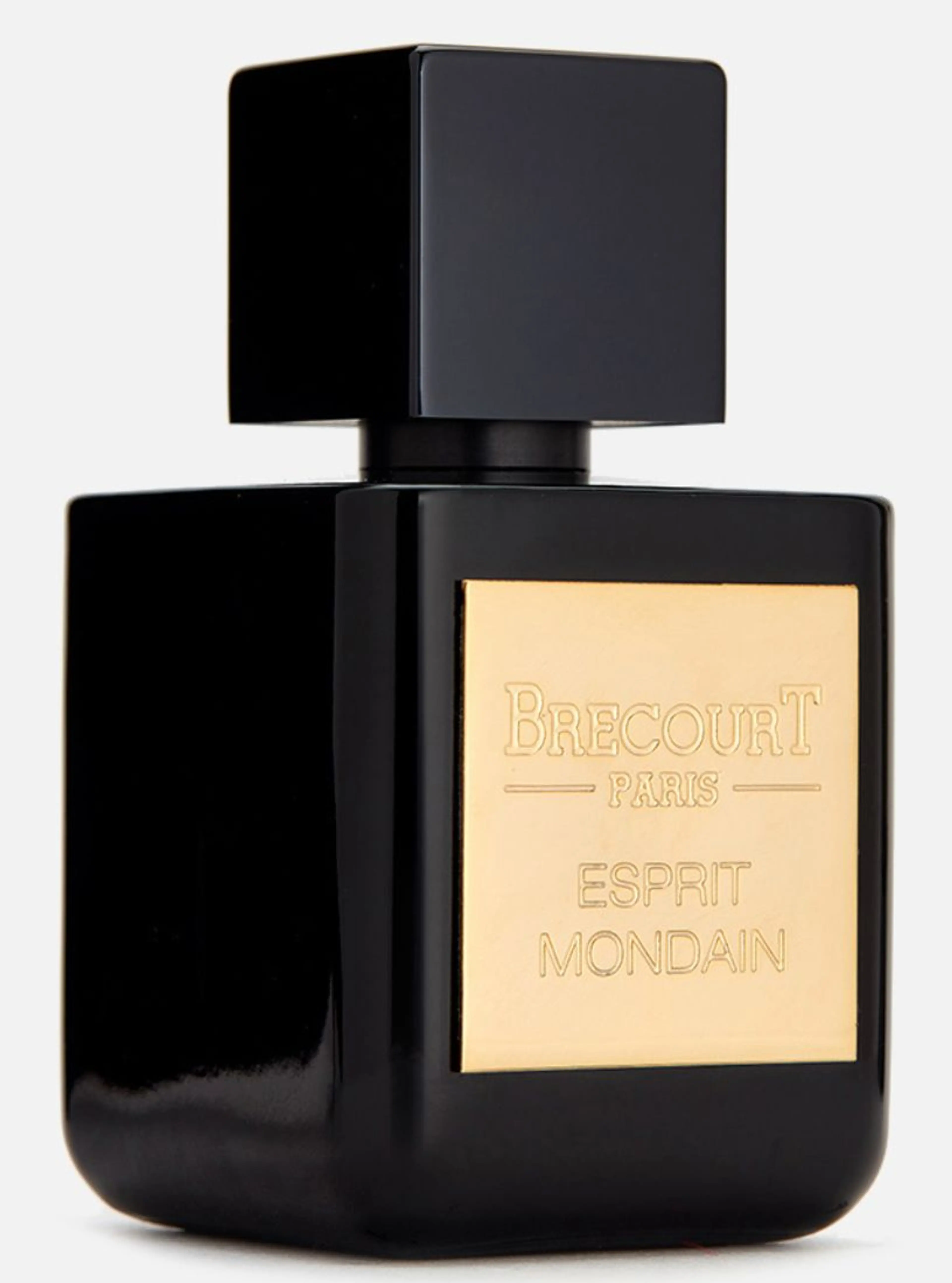 Esprit Mondain