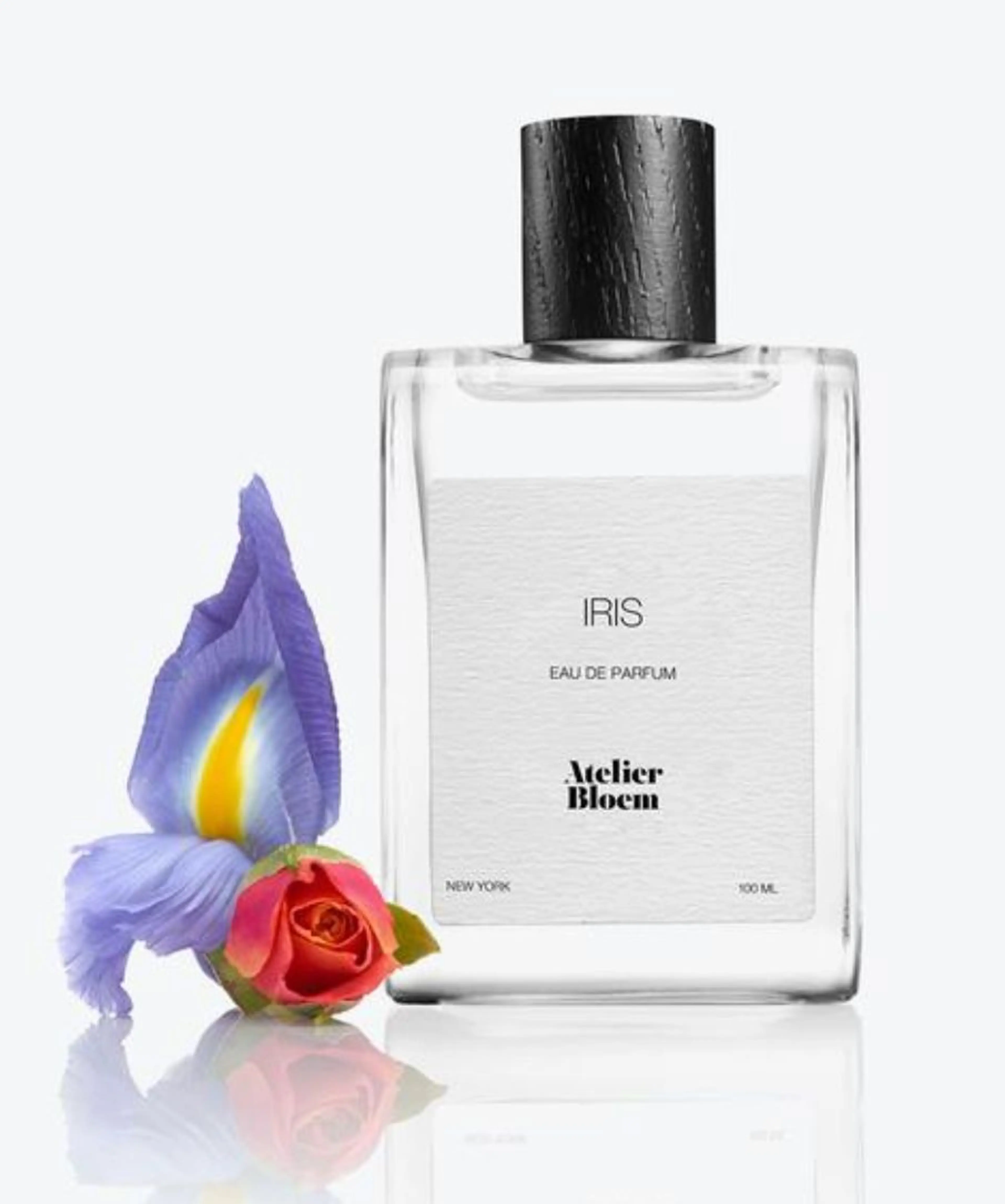 Iris
