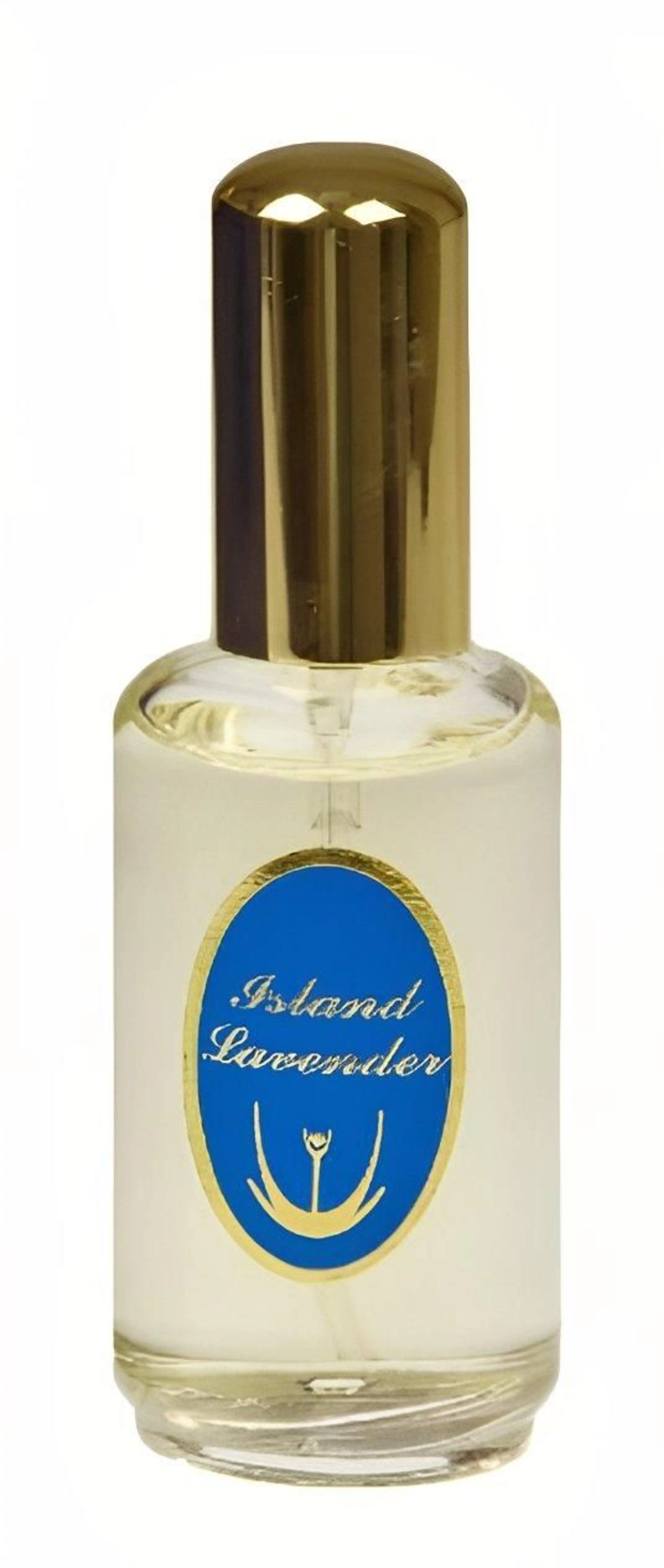 Island Lavender