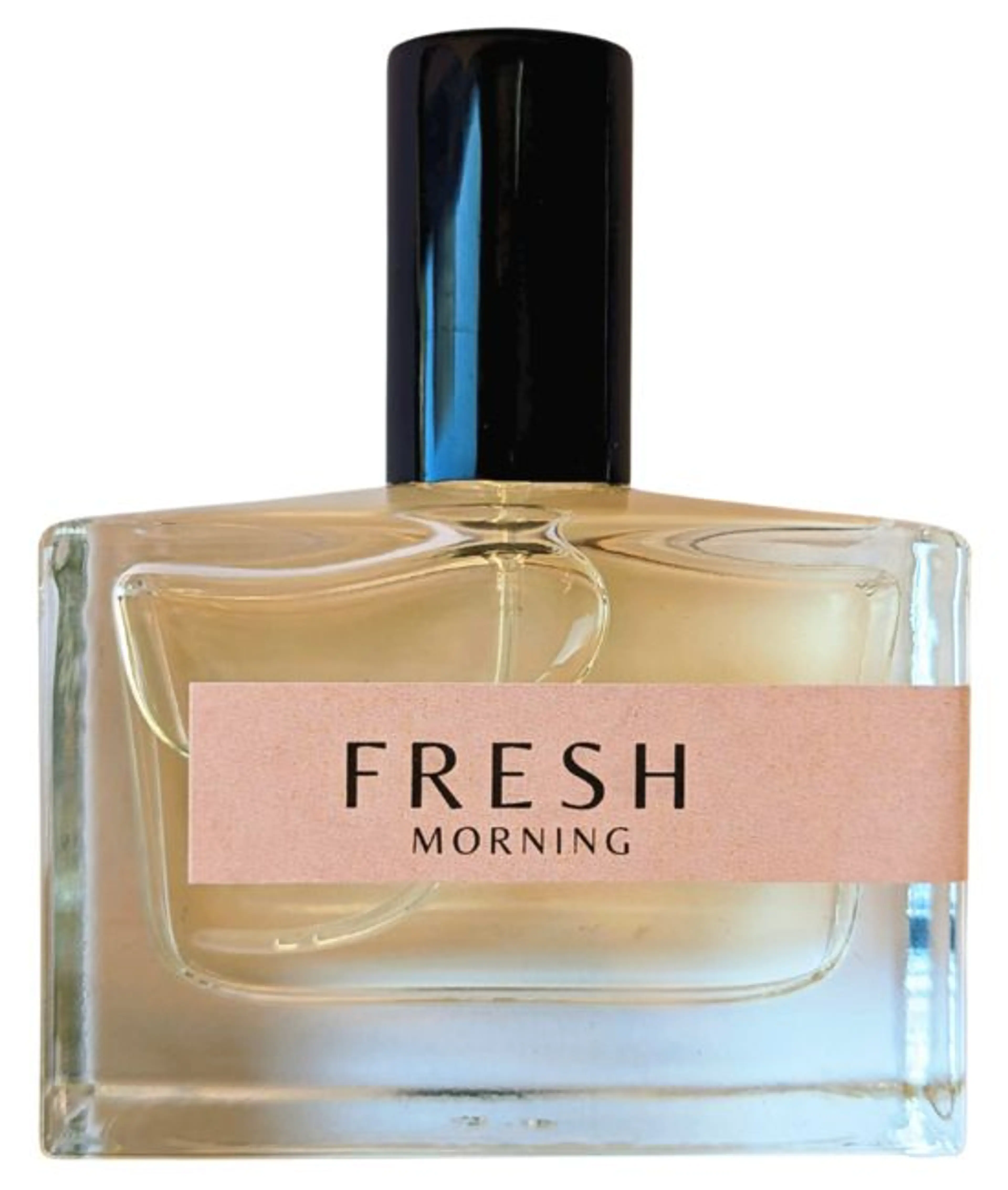 Fresh Morning