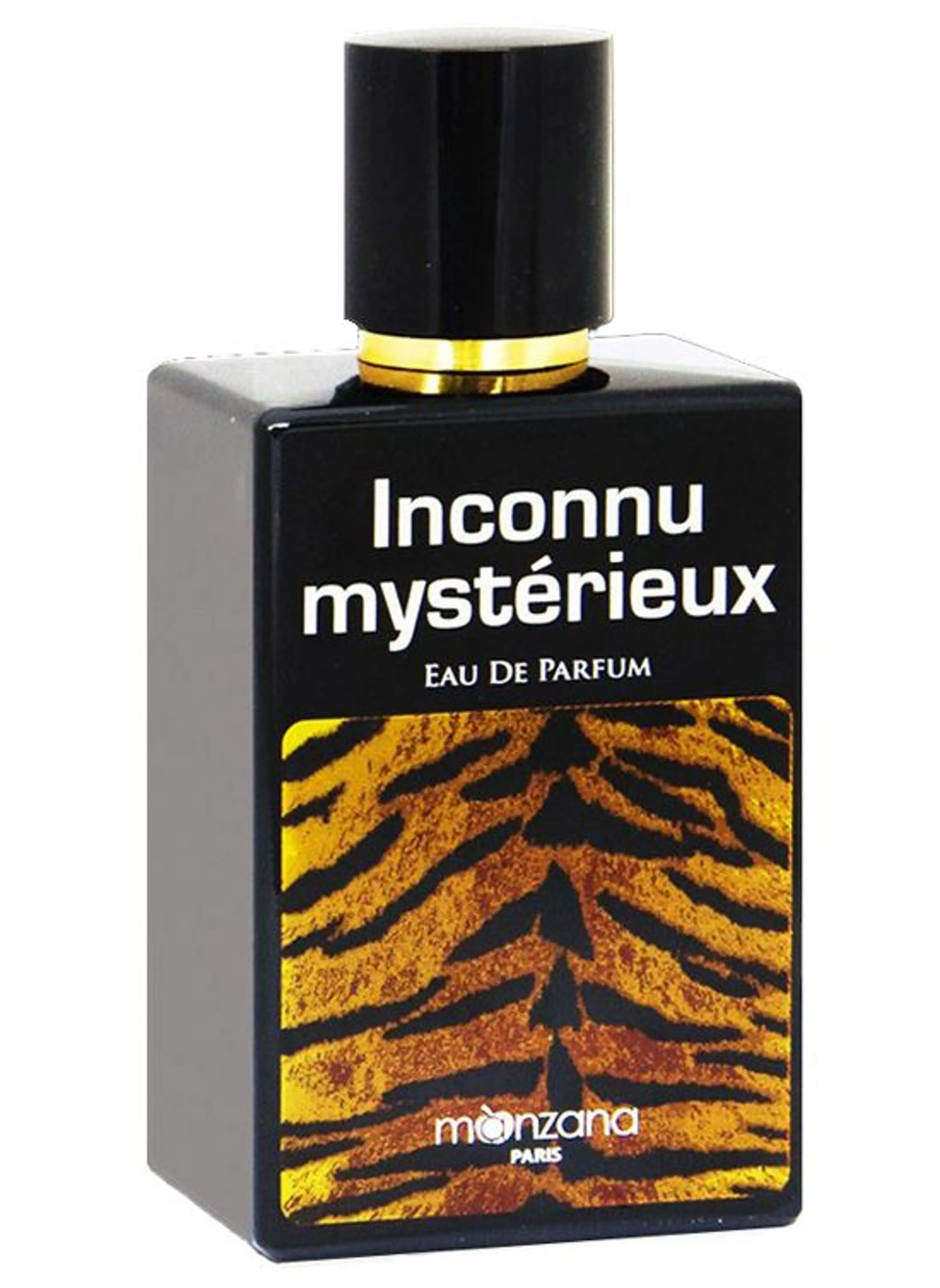 Inconnu Mysterieux