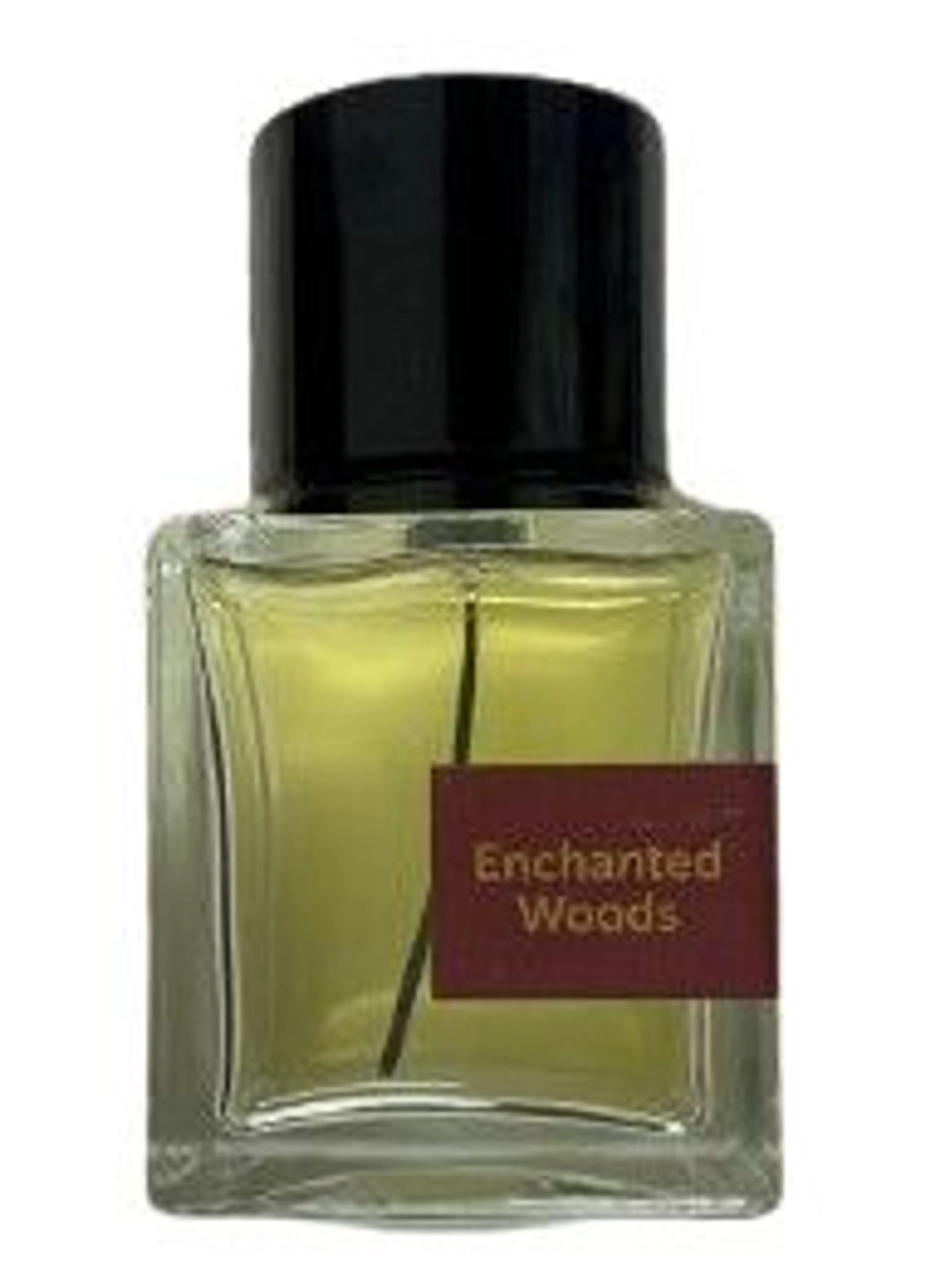 Enchanted Woods