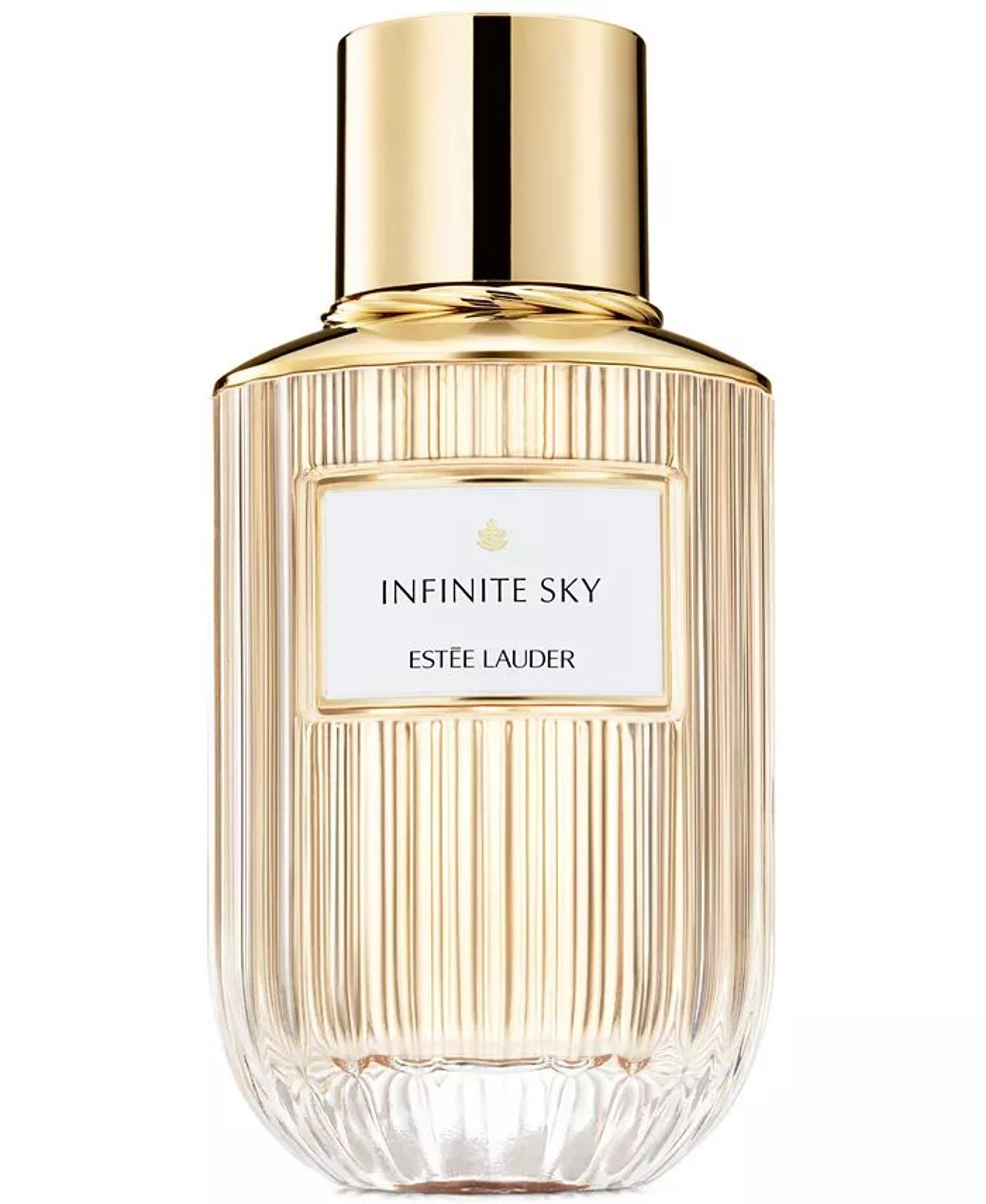 Infinite Sky