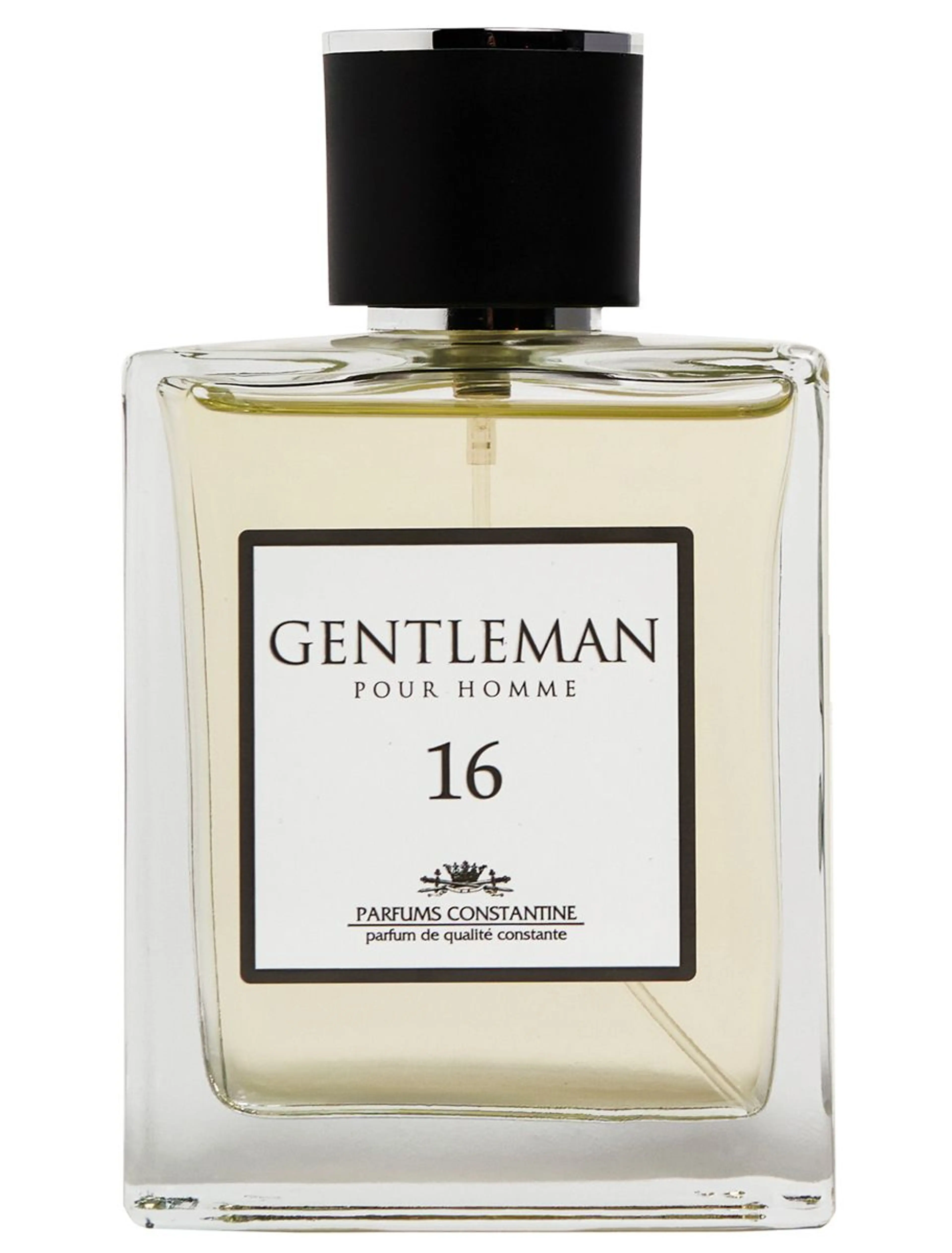 Gentleman N. 16