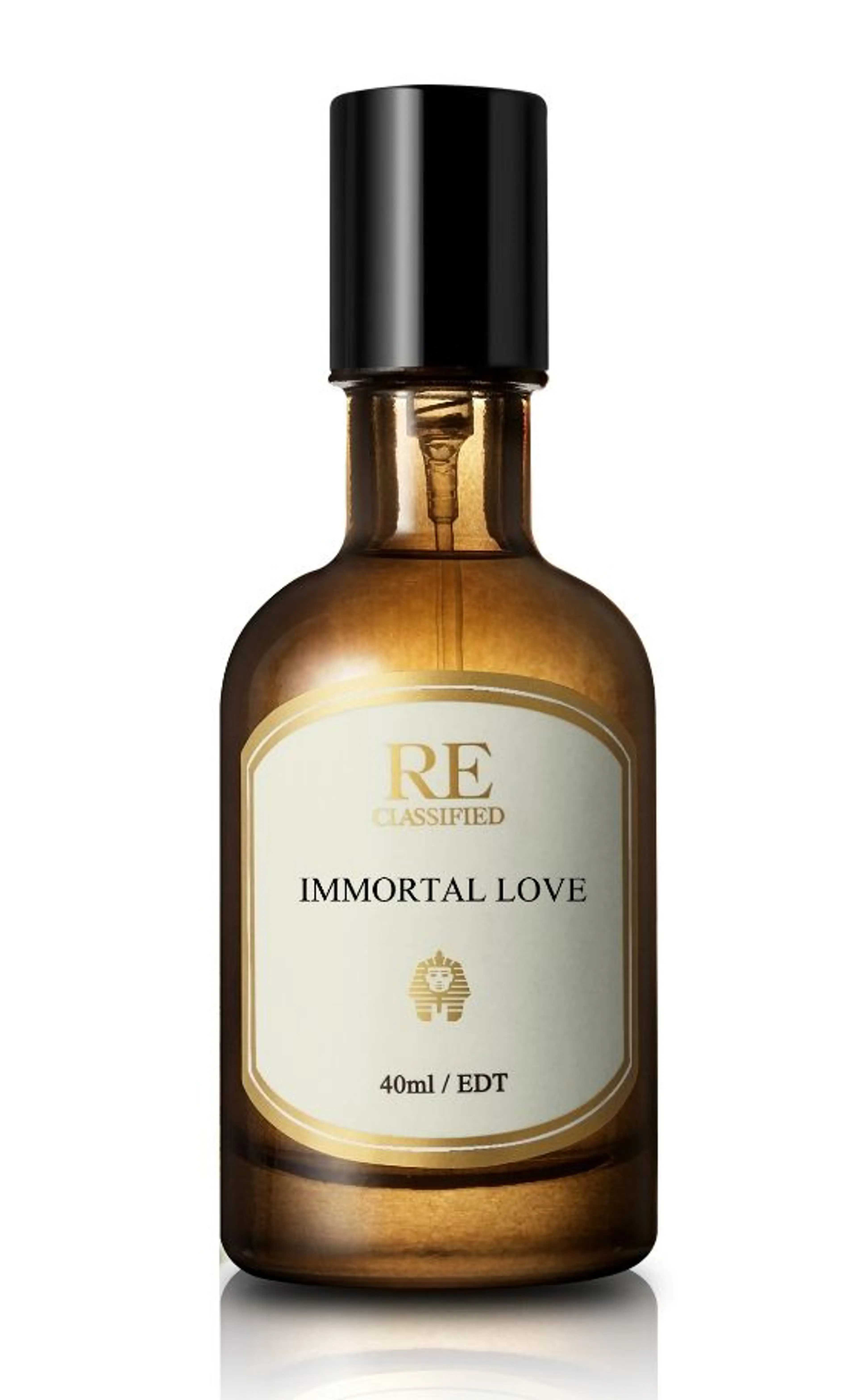 Immortal Love 不腐的爱恋