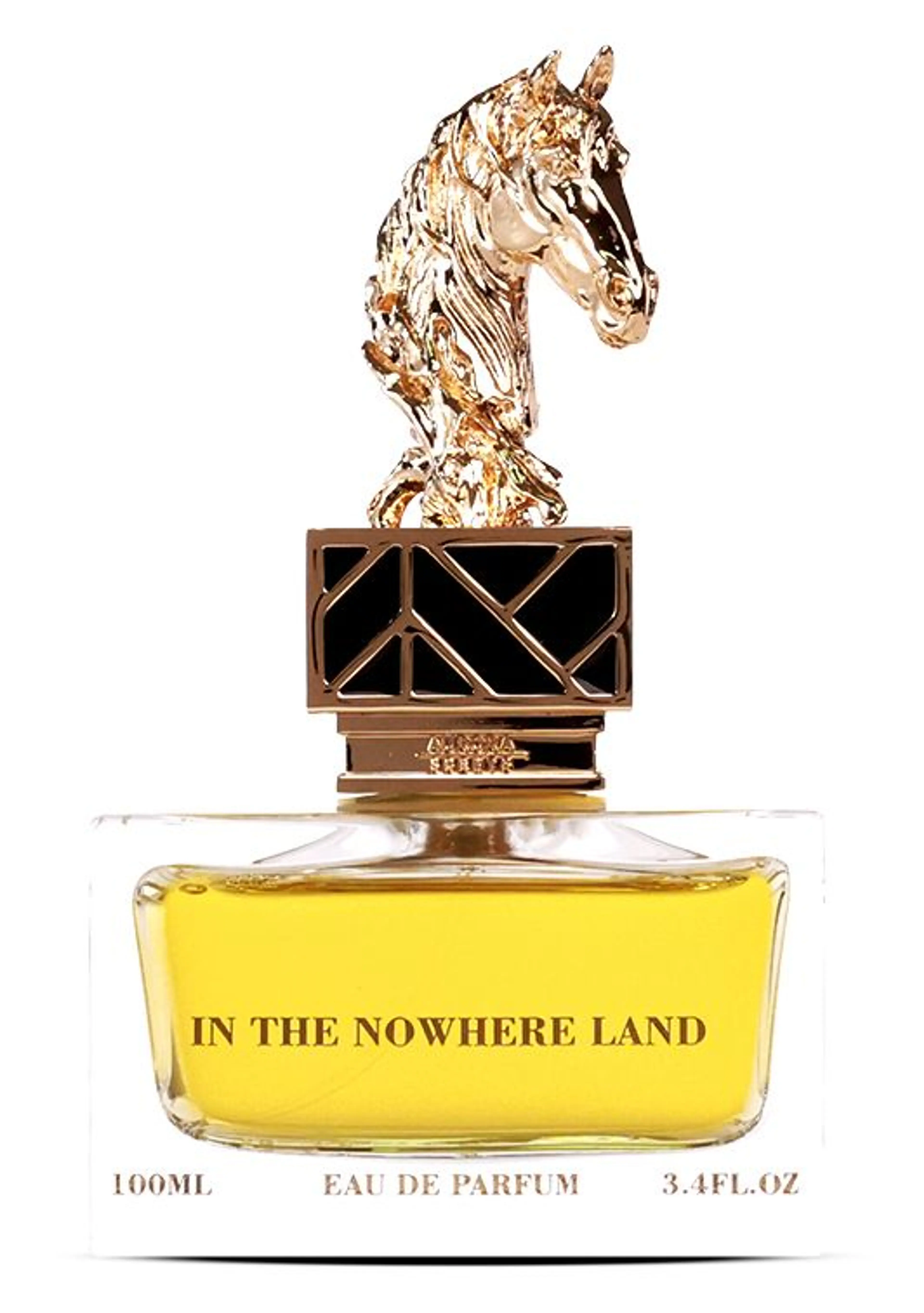 In The Nowhere Land