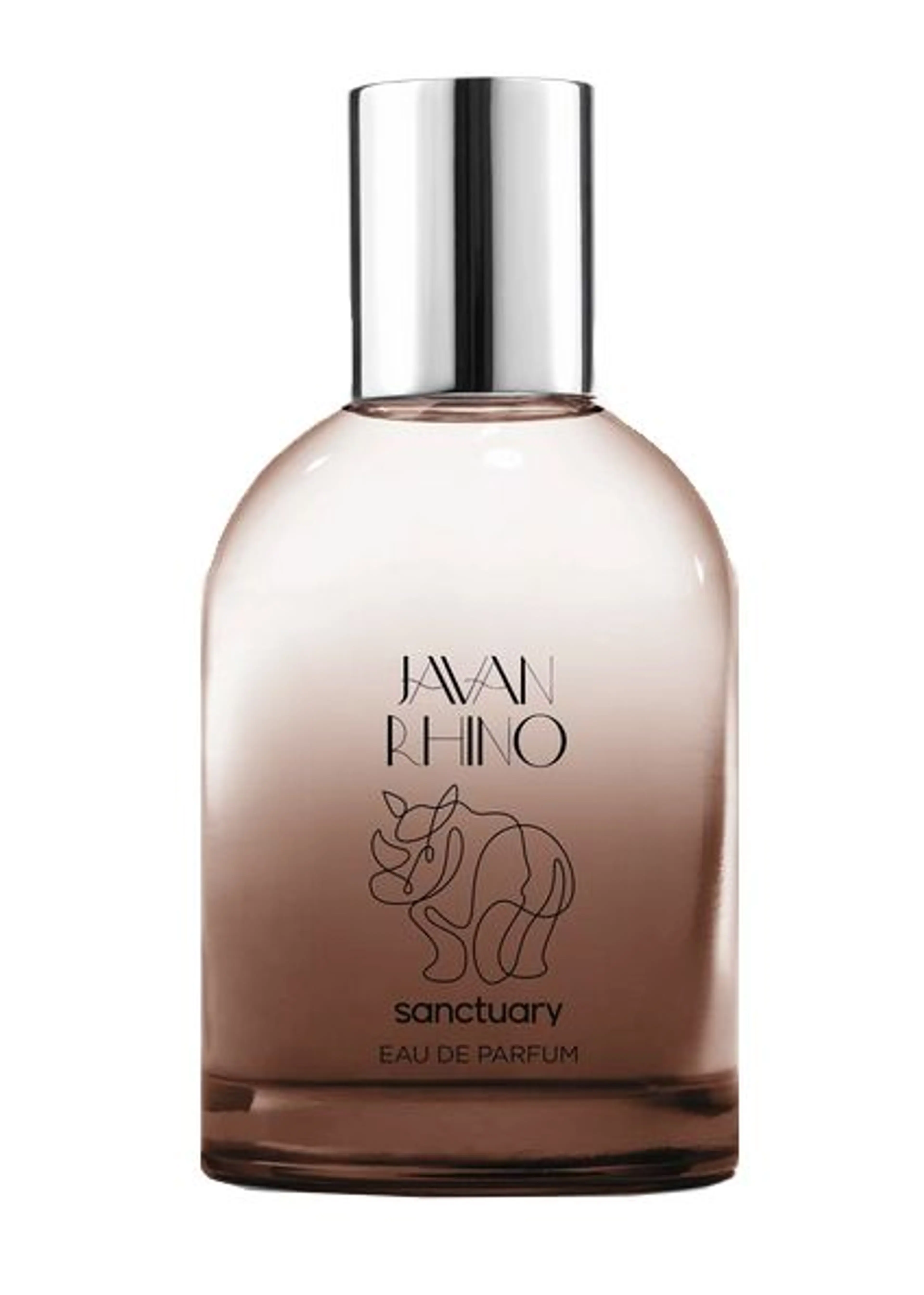 Javan Rhino