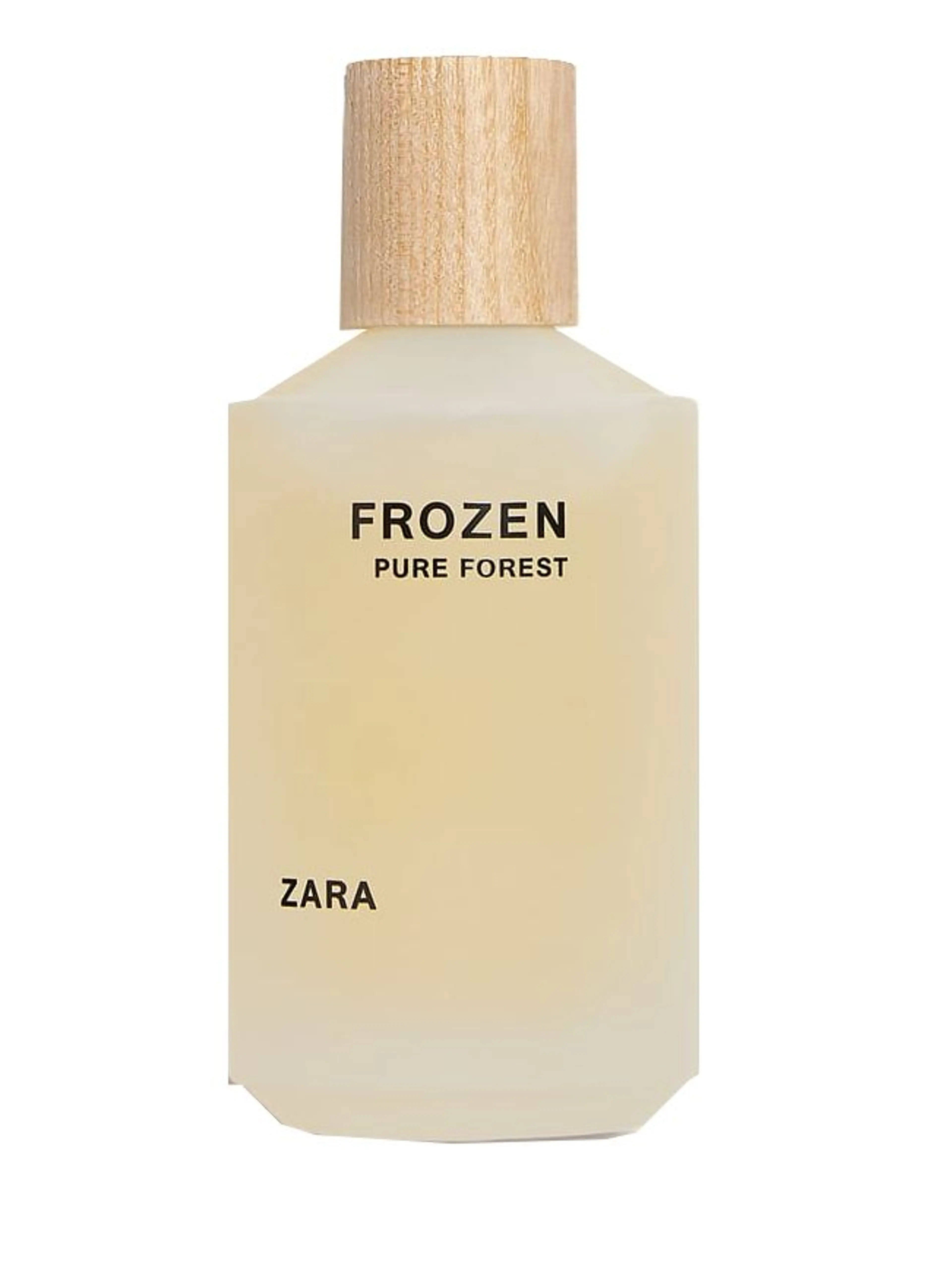 Frozen Pure Forest