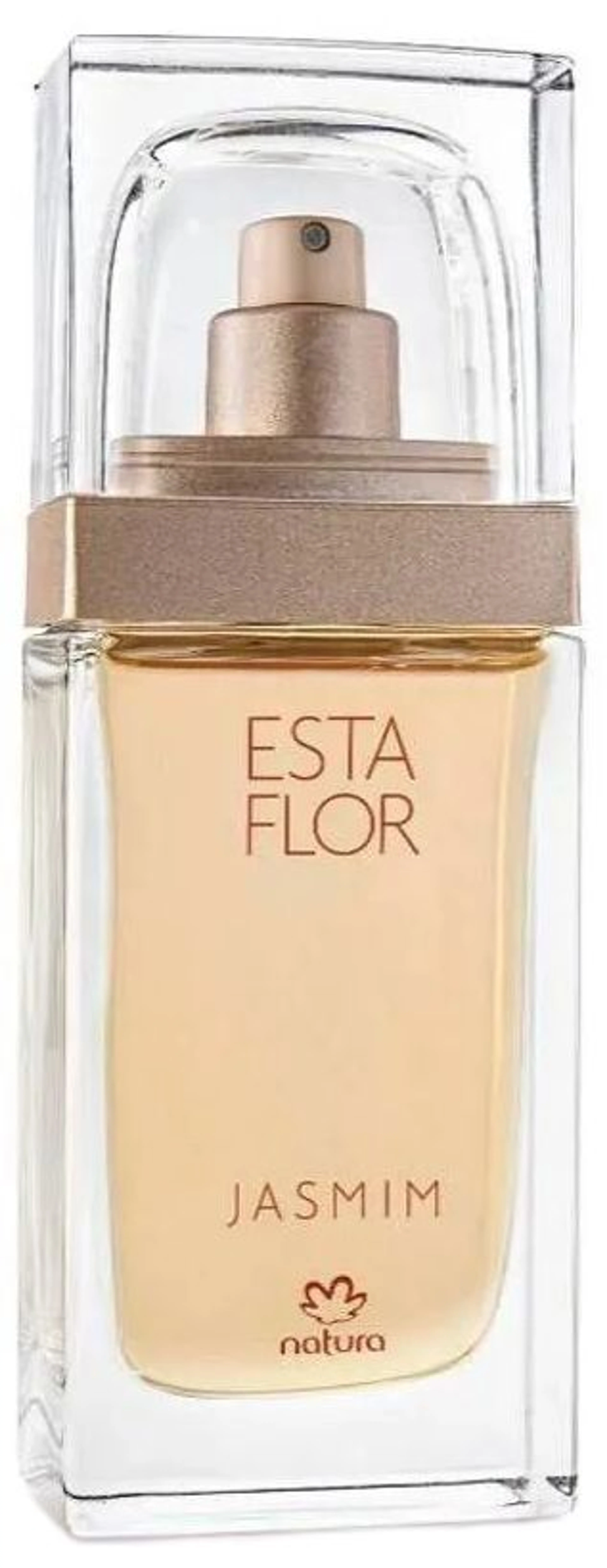 Esta Flor Jasmim