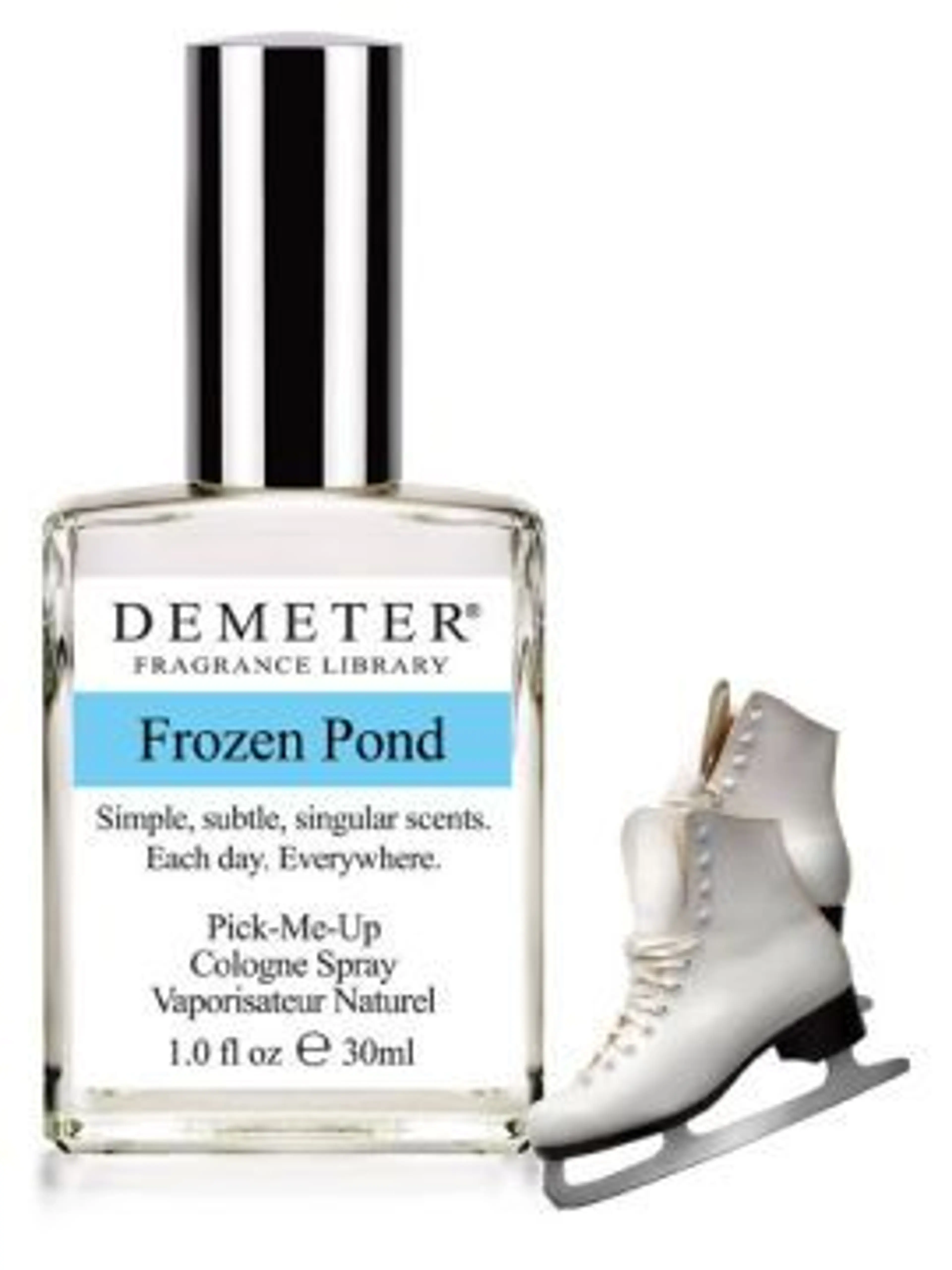 Frozen Pond