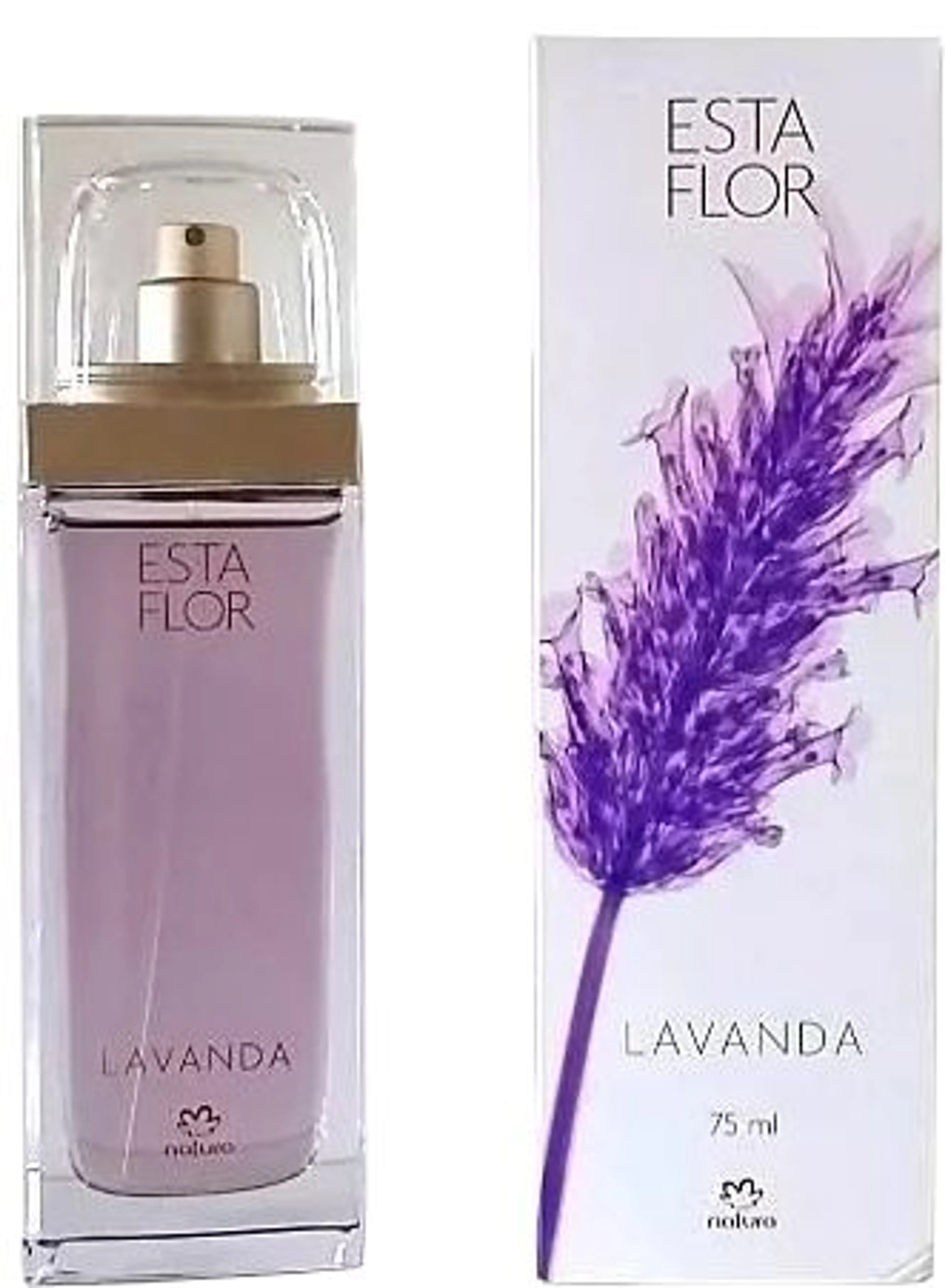 Esta Flor Lavanda