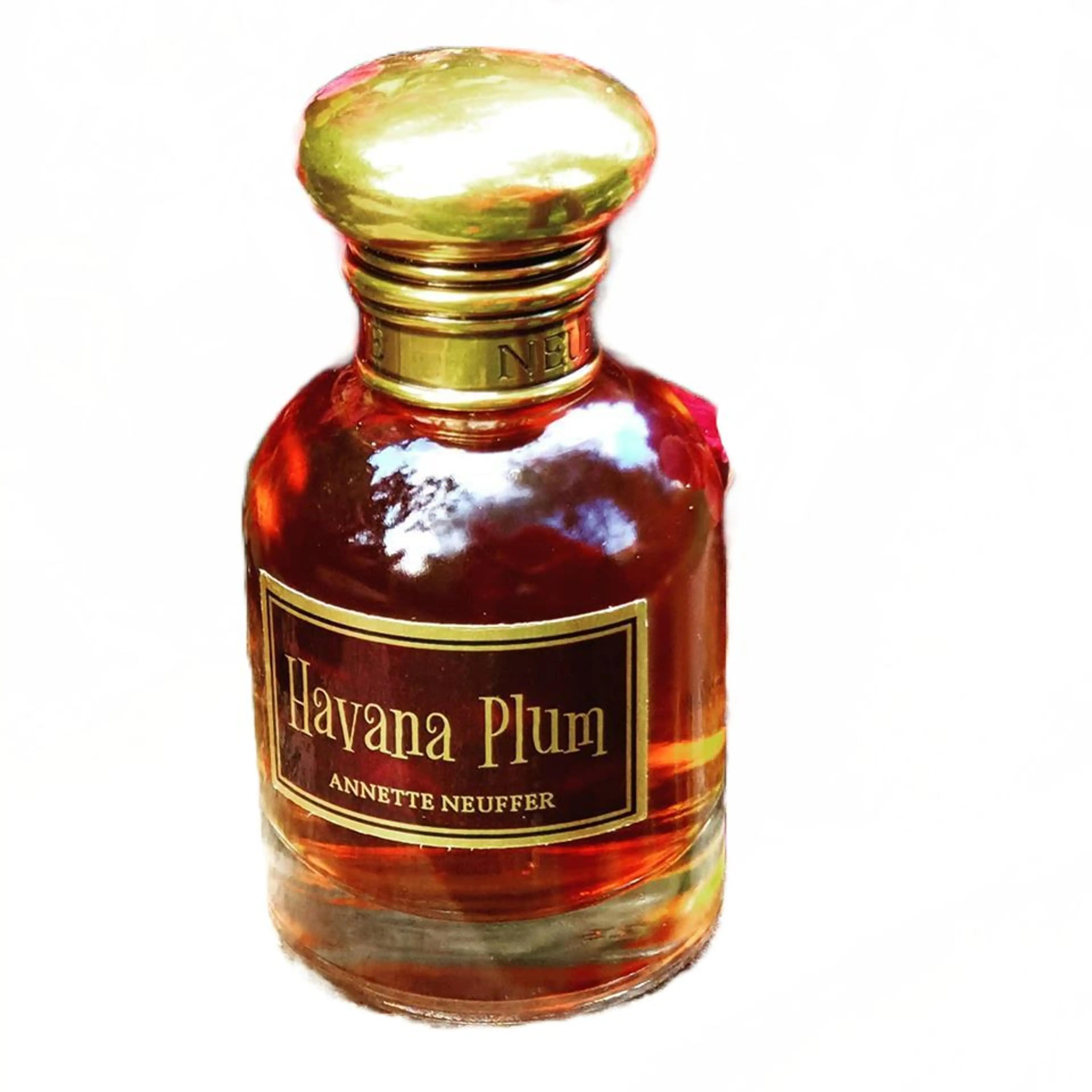 Havana Plum