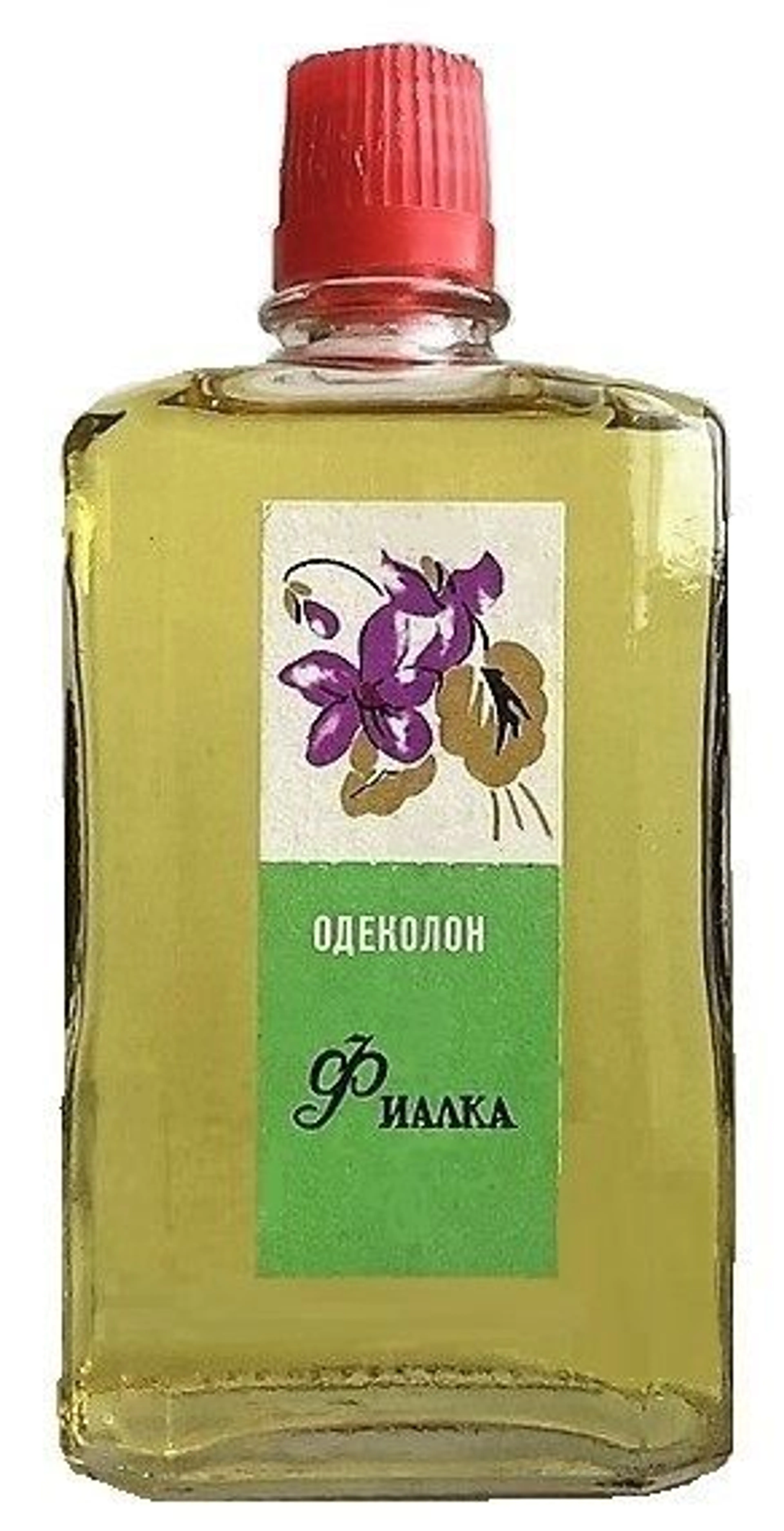 Фиалка