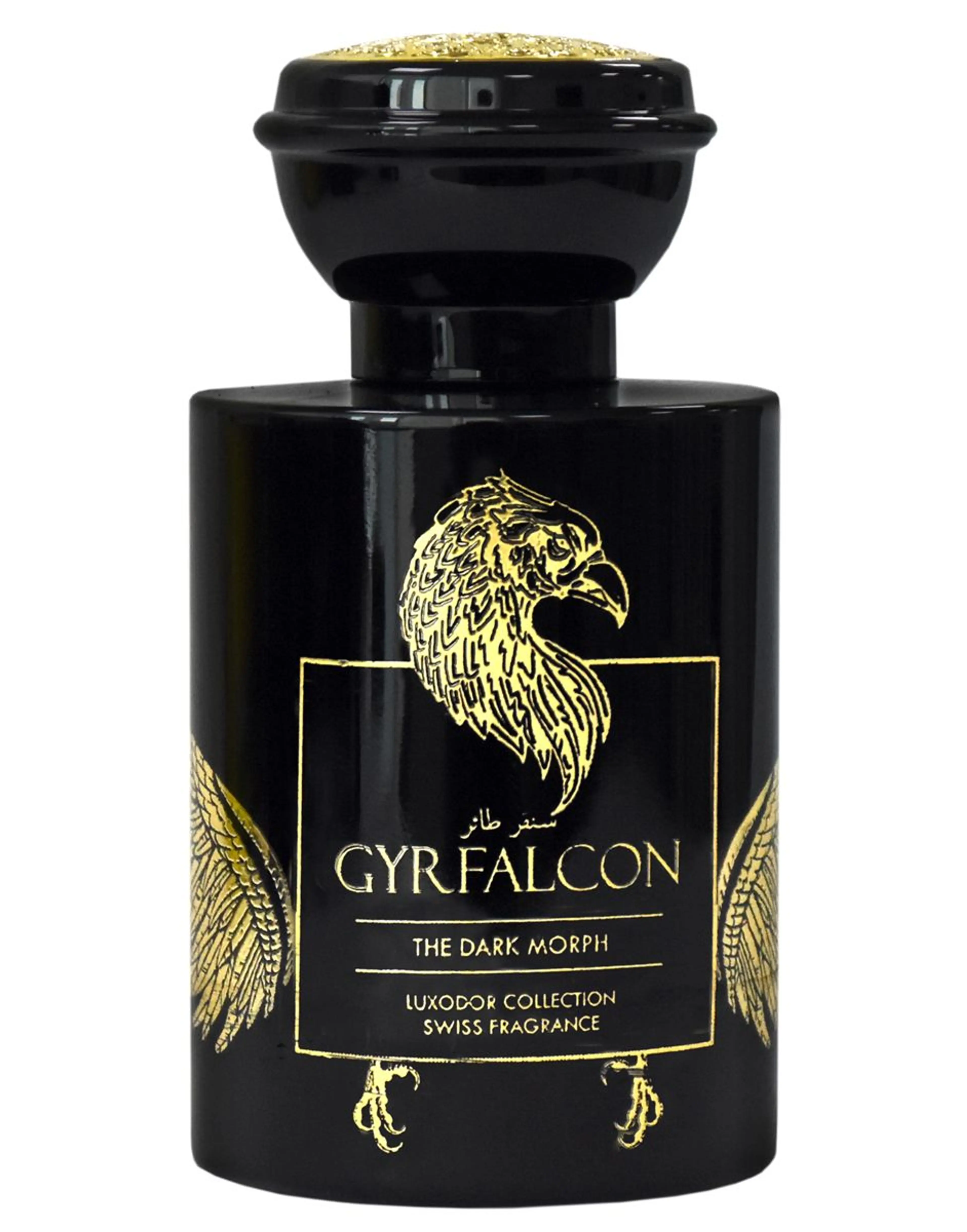 GyrFalcon The Dark Morph