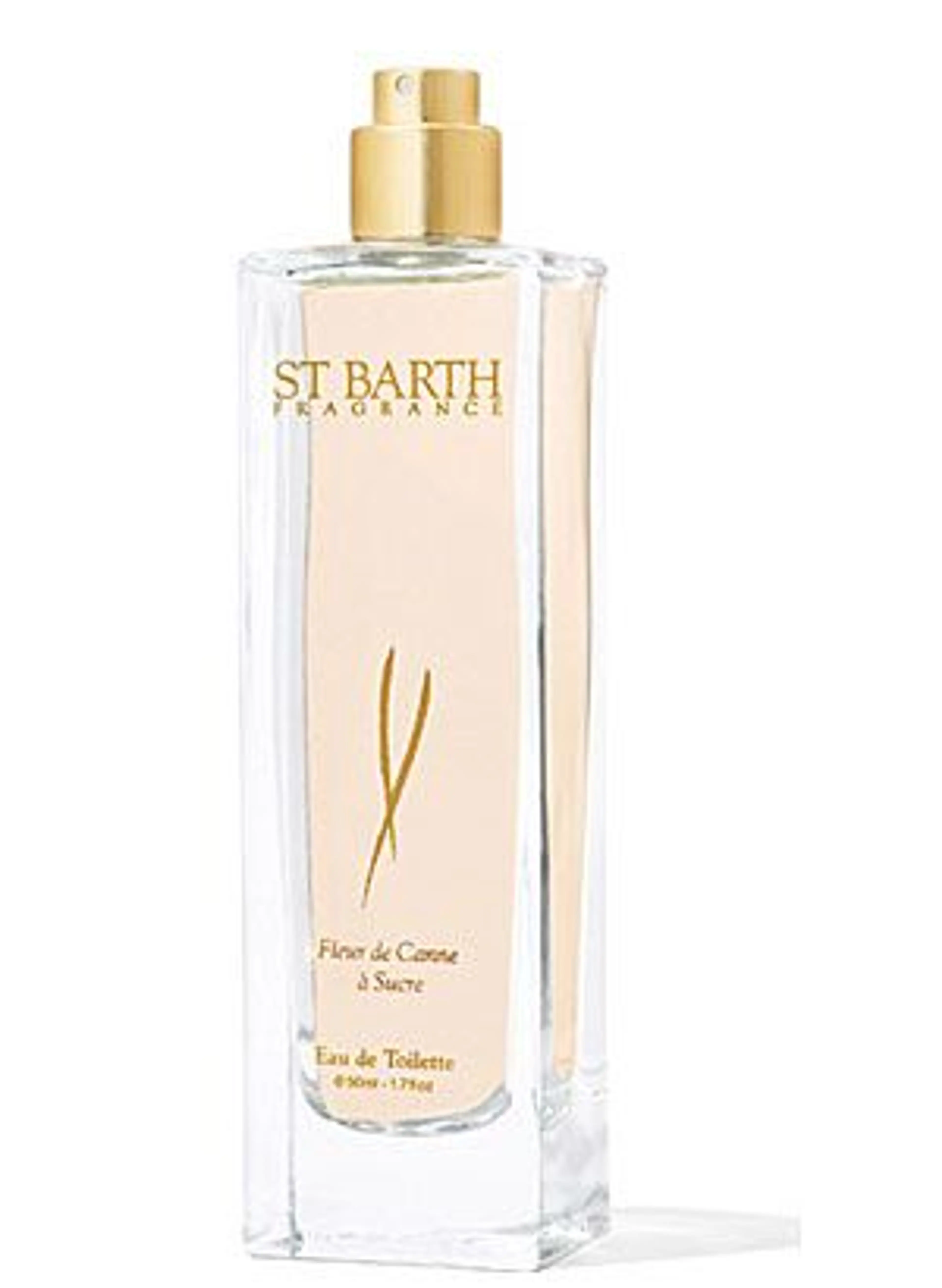 Fleur de Canne a Sucre