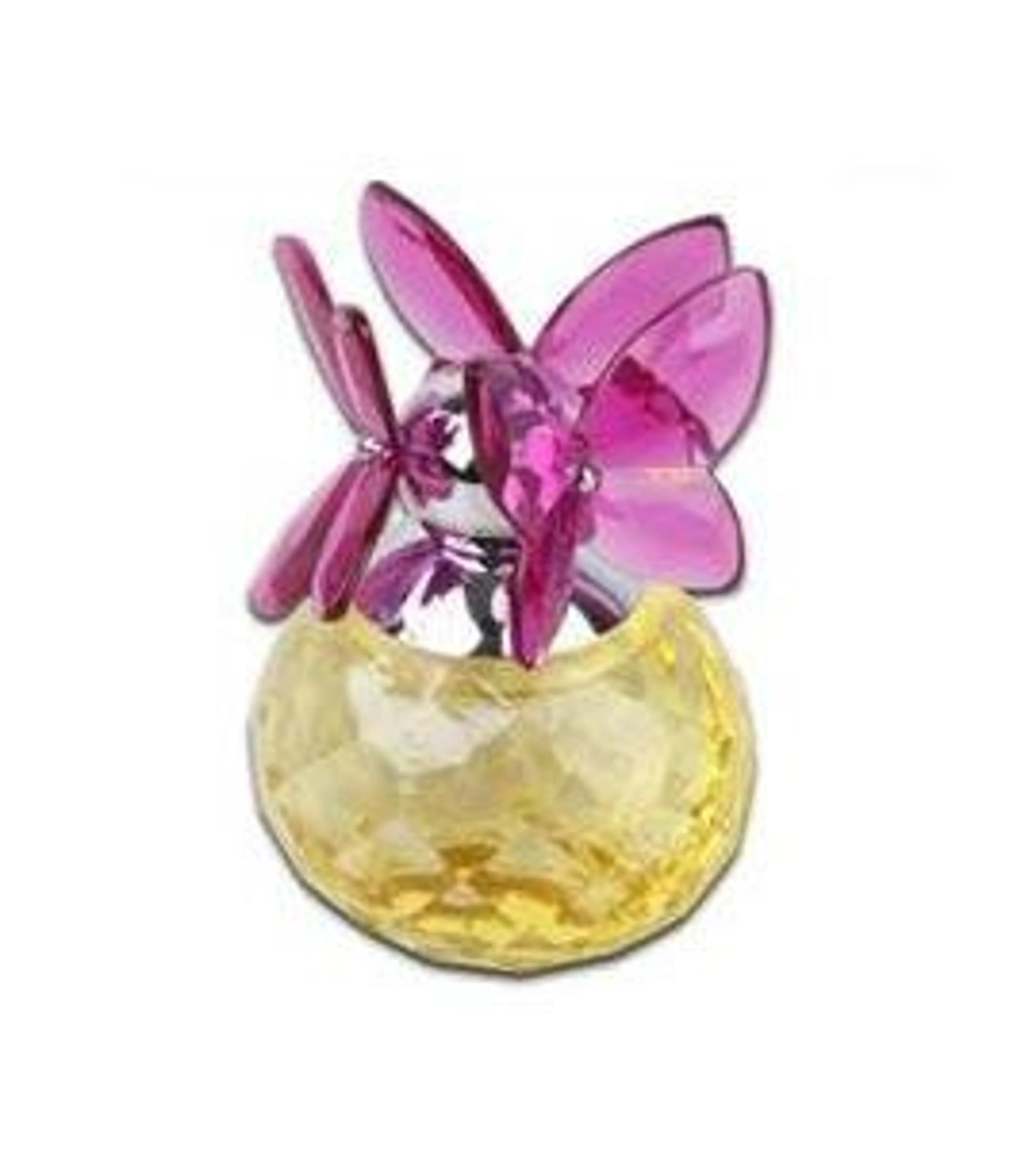 Flower Season Butterfly Dreams