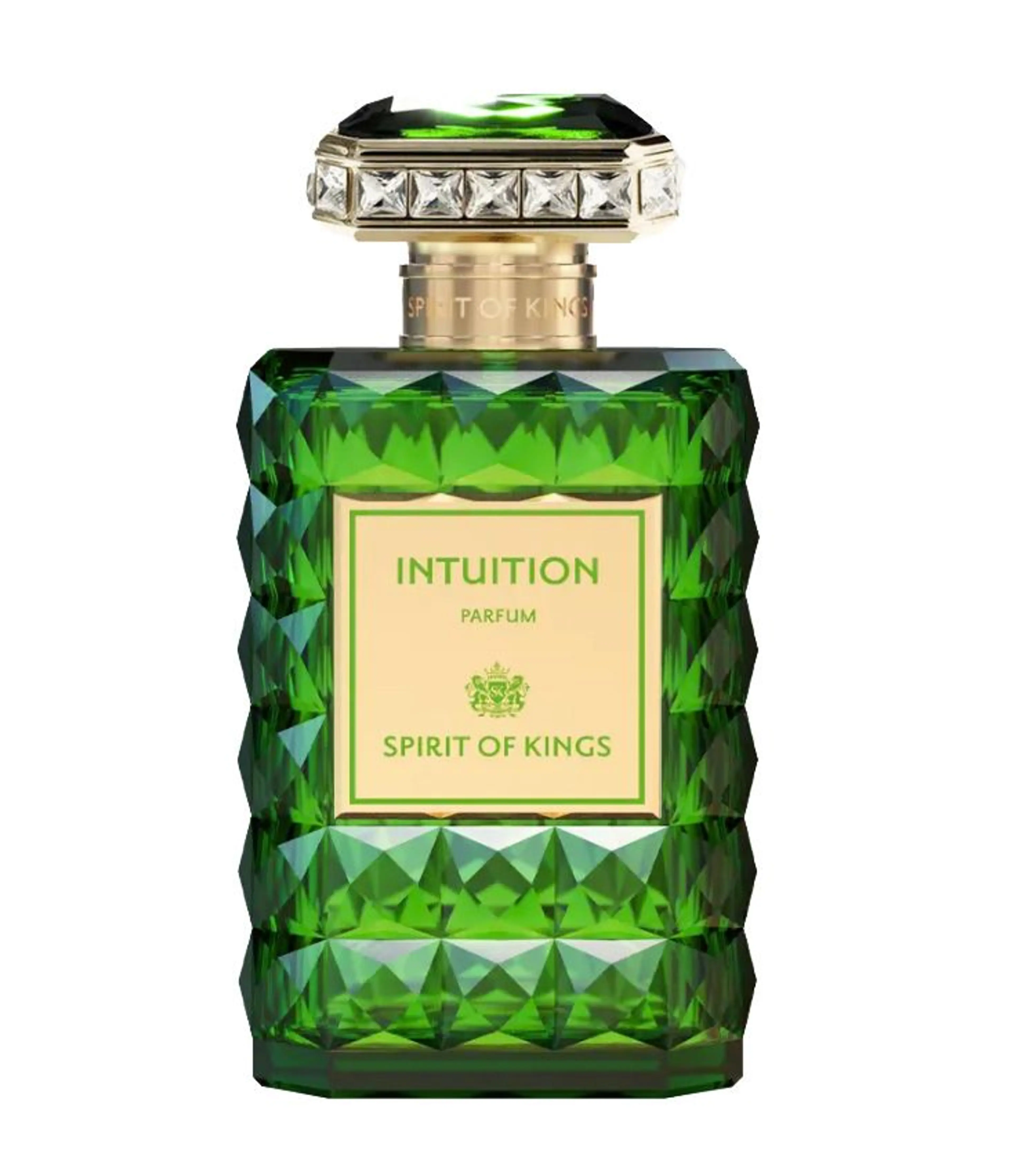 Intuition