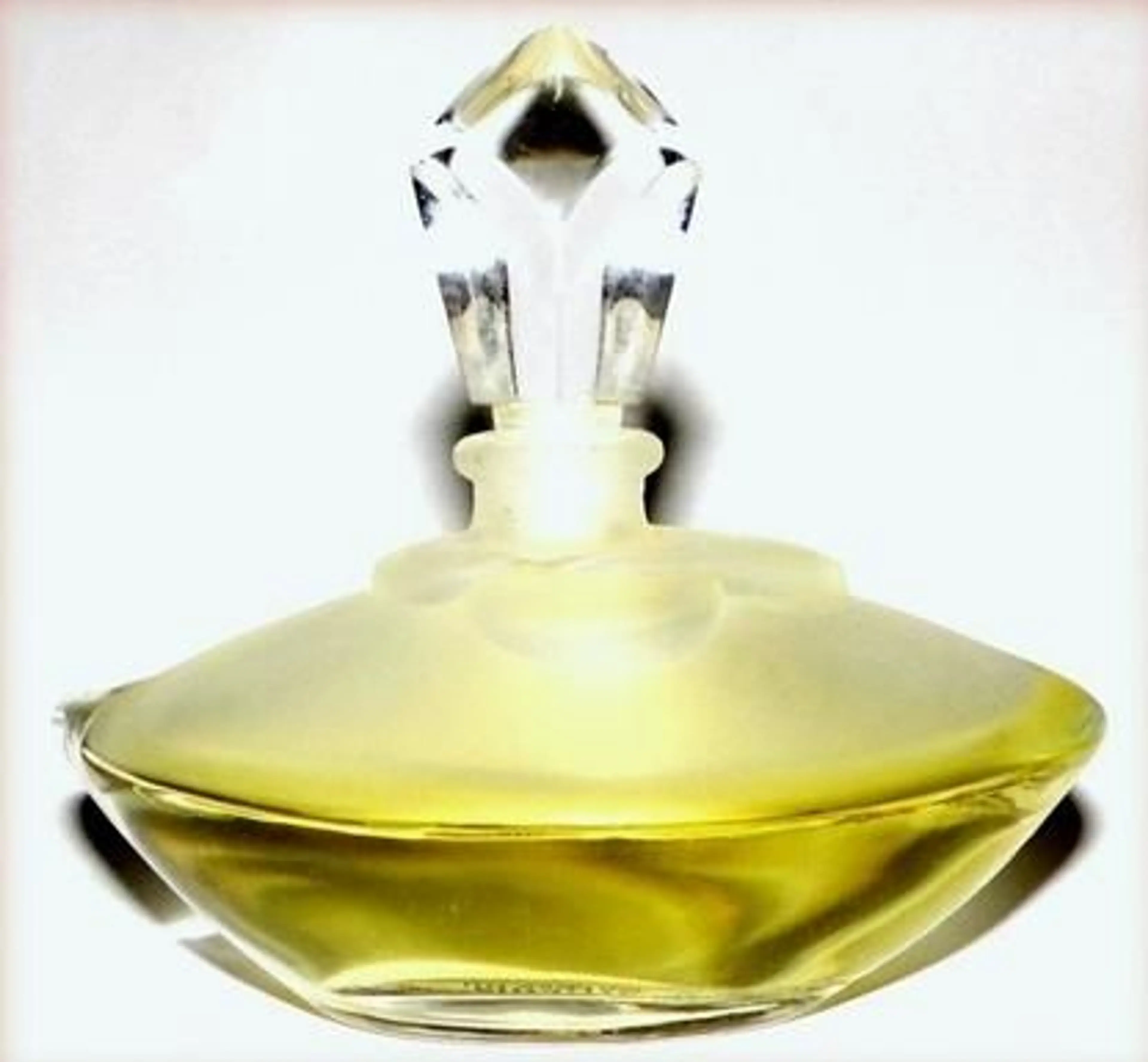 Gardenia
