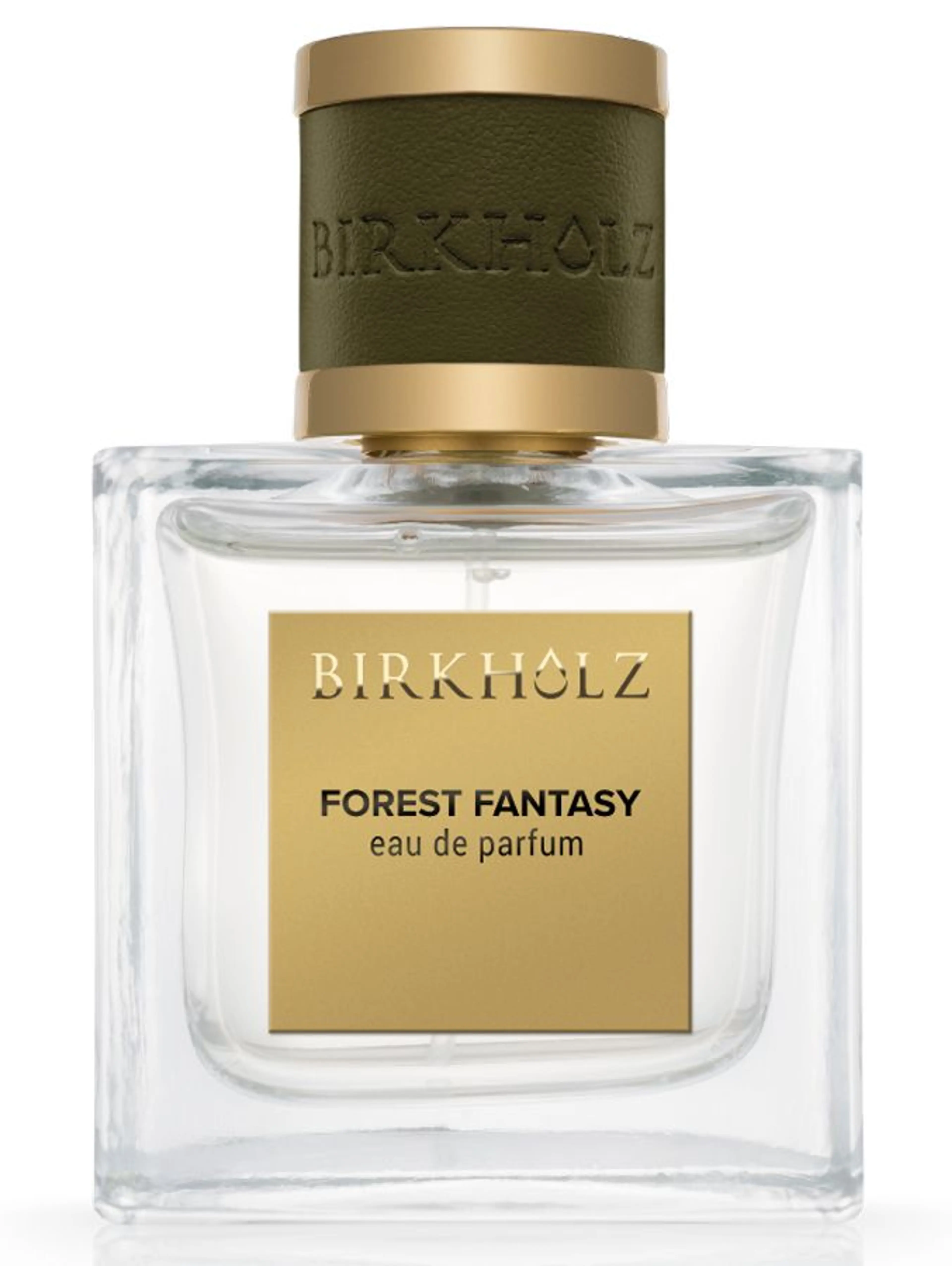 Forest Fantasy
