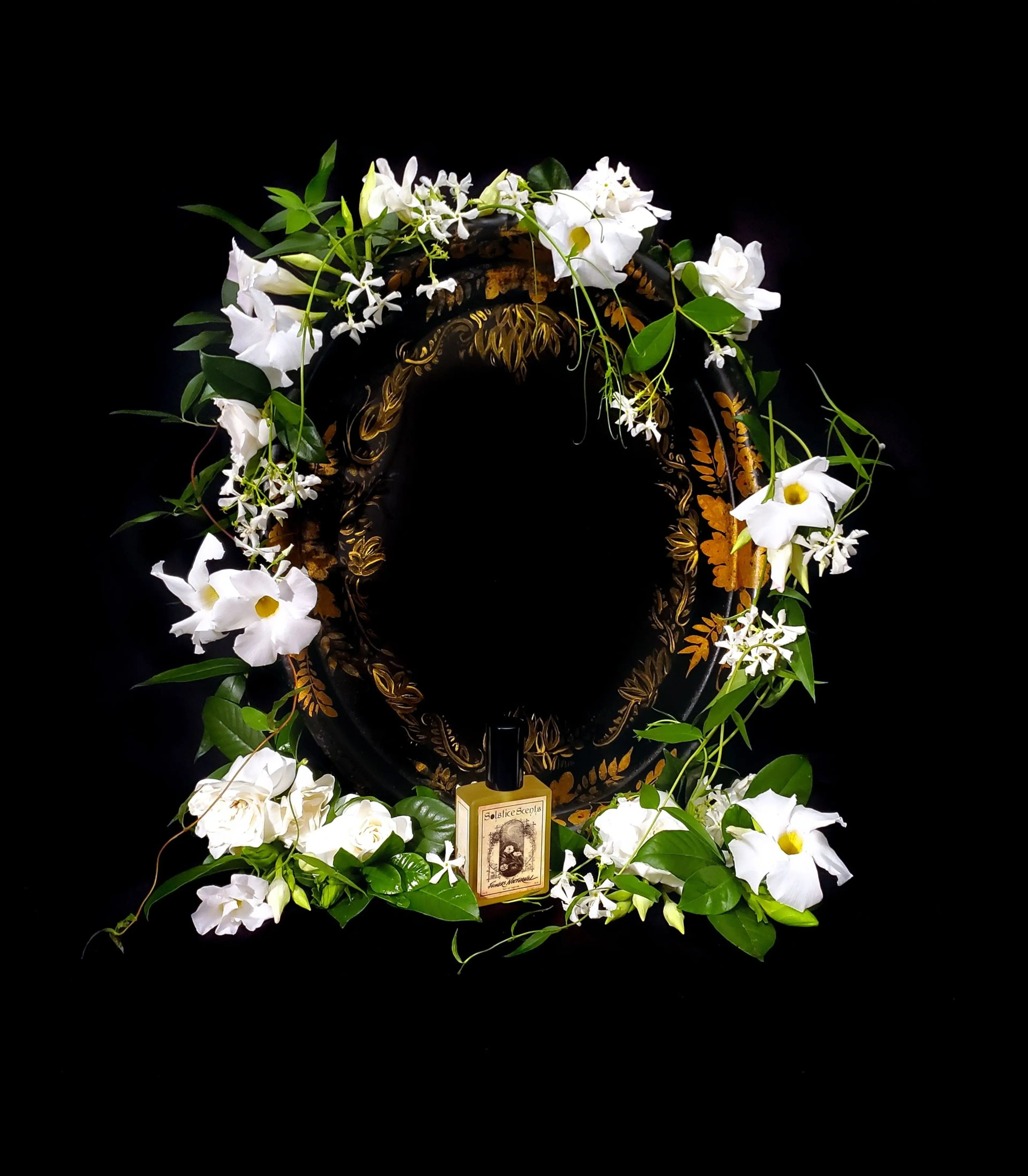 Flowers Nocturnal