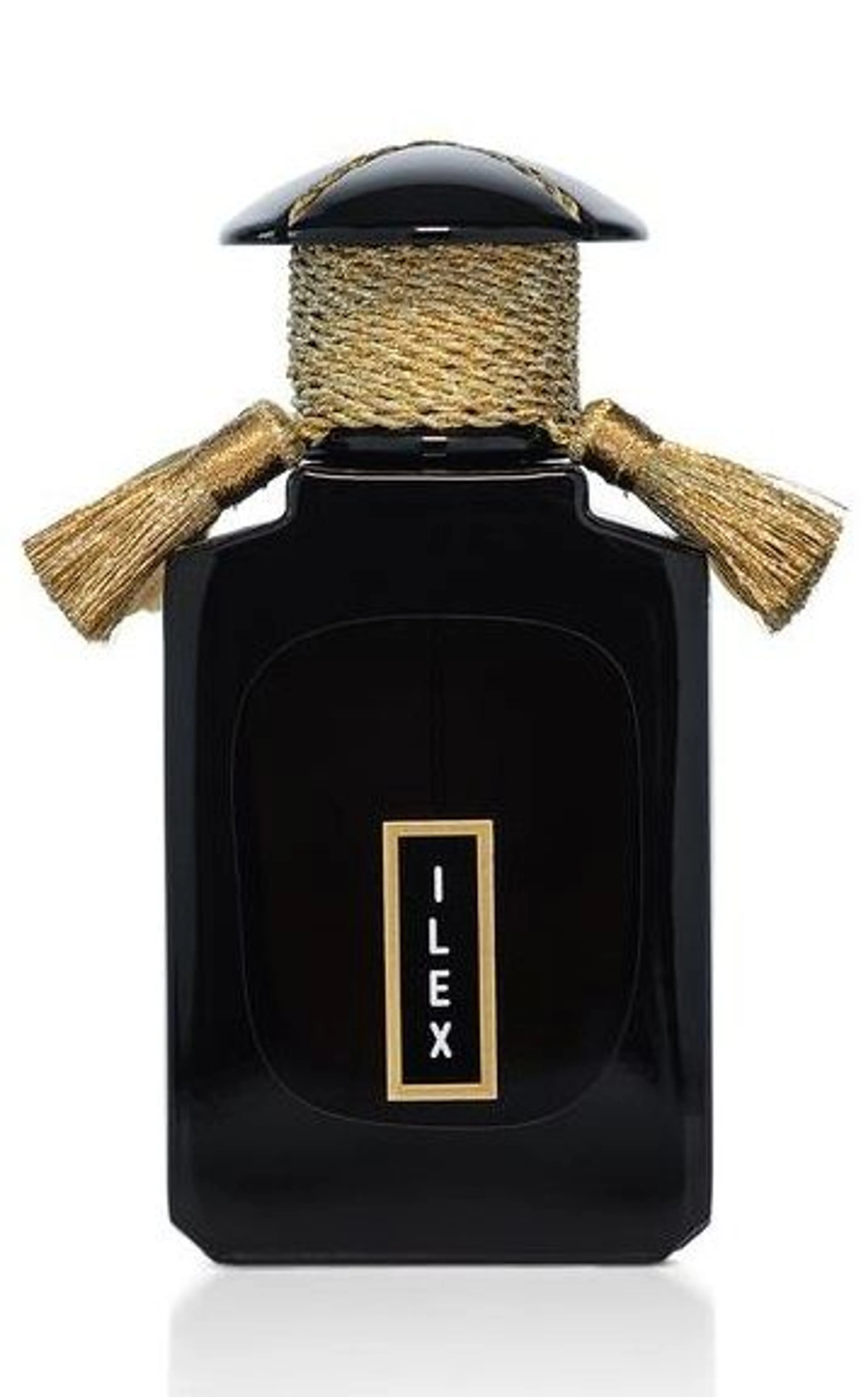 Ilex