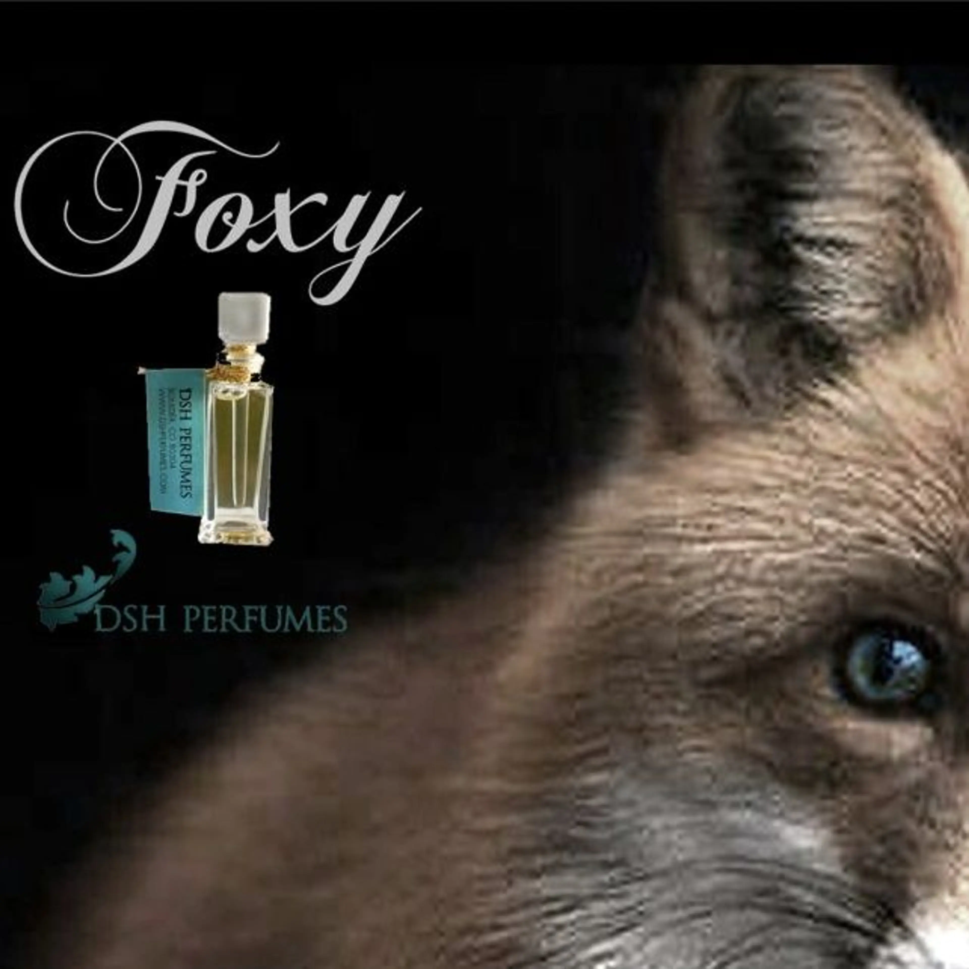 Foxy