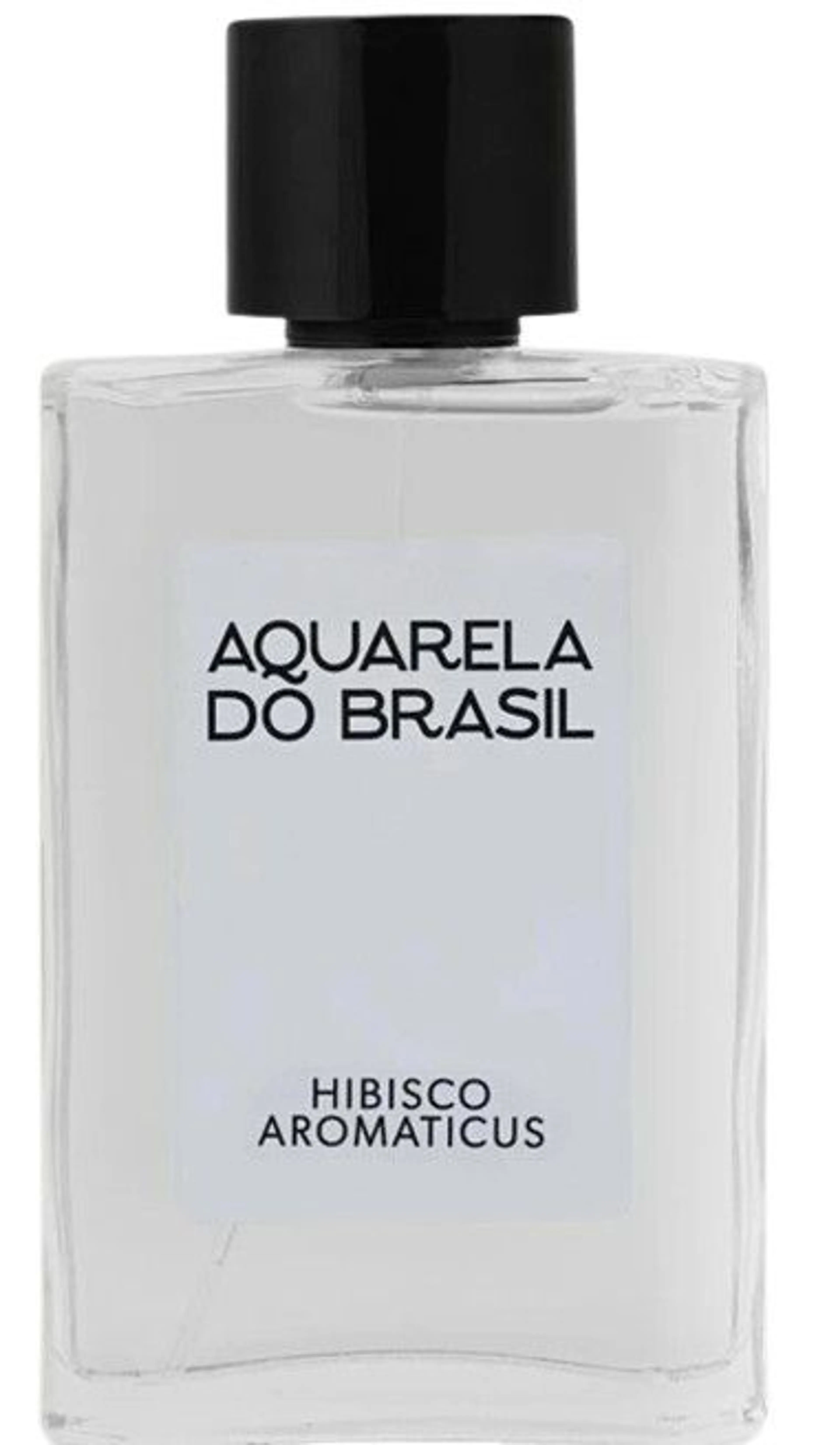 Hibisco Aromaticus
