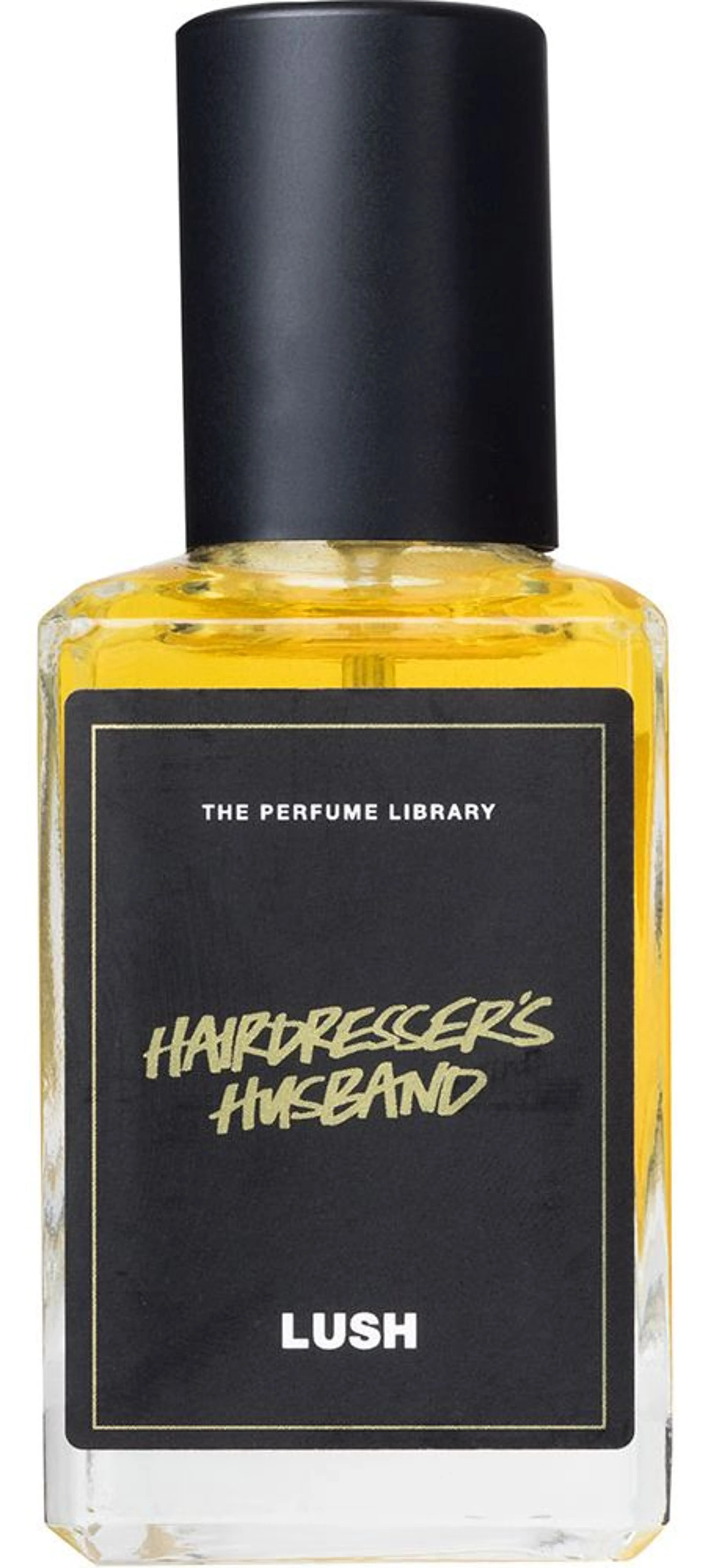 Hairdresser's Husband