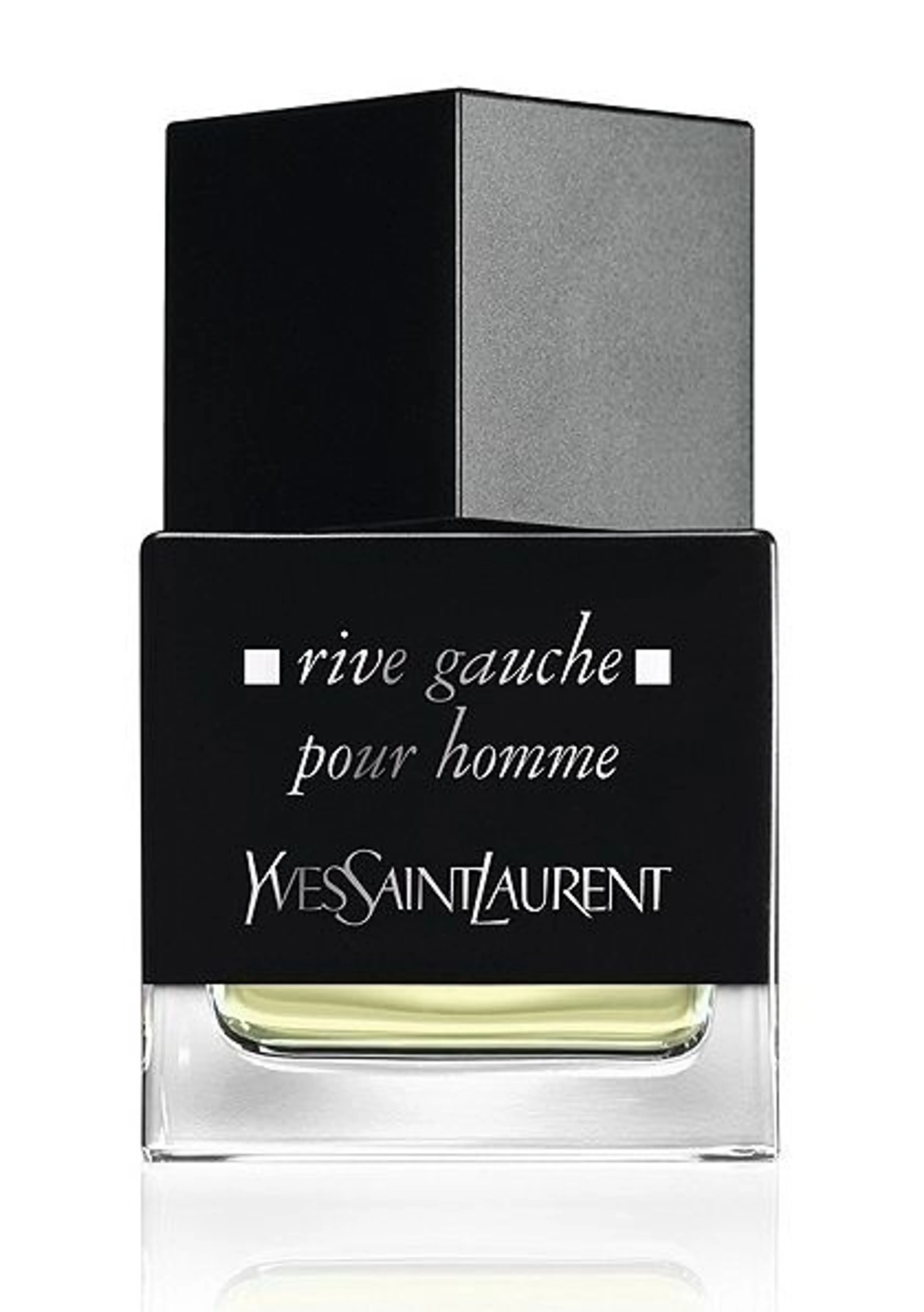 La Collection Rive Gauche Pour Homme