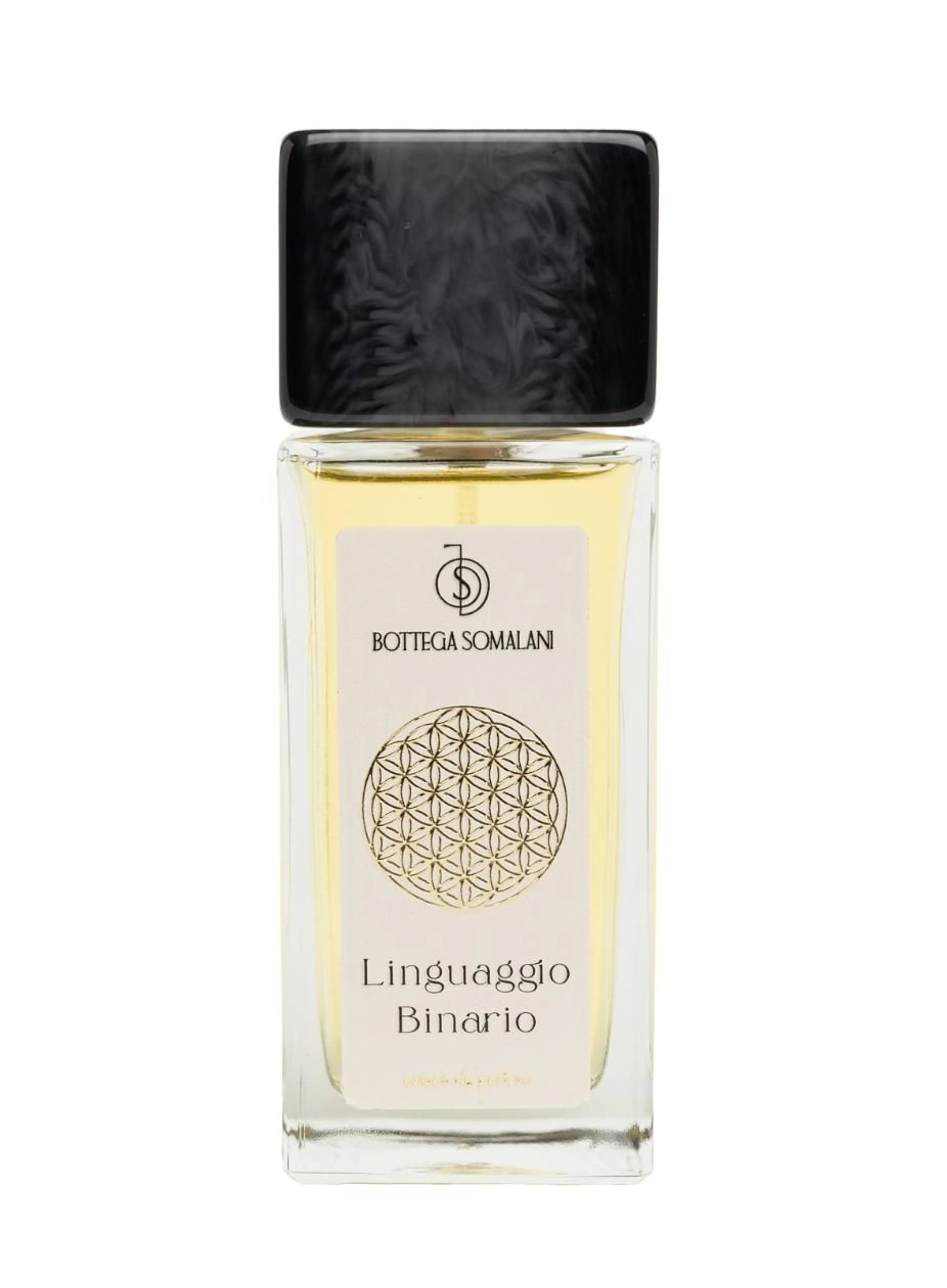 Linguaggio Binario