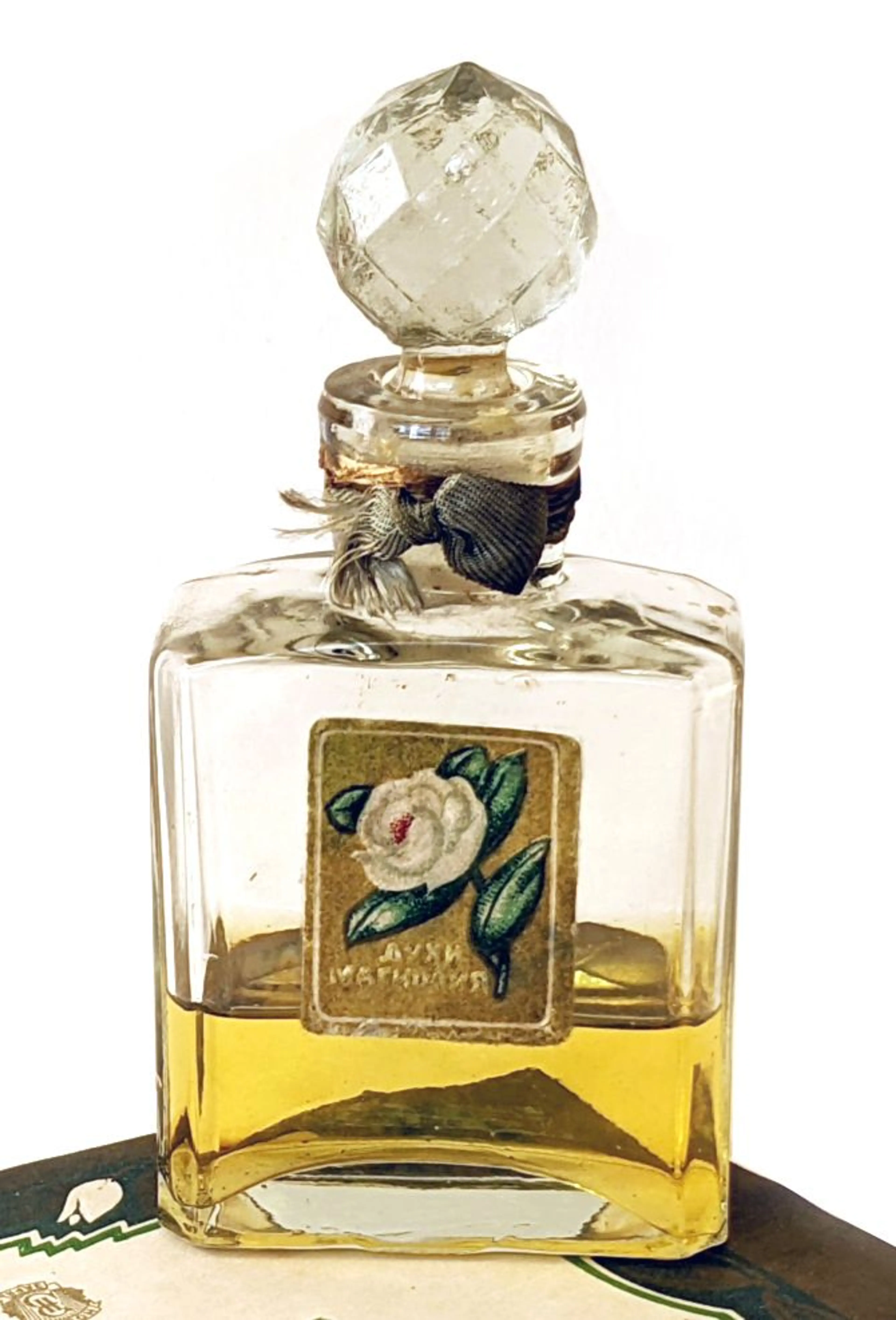 Магнолия (Magnolia)
