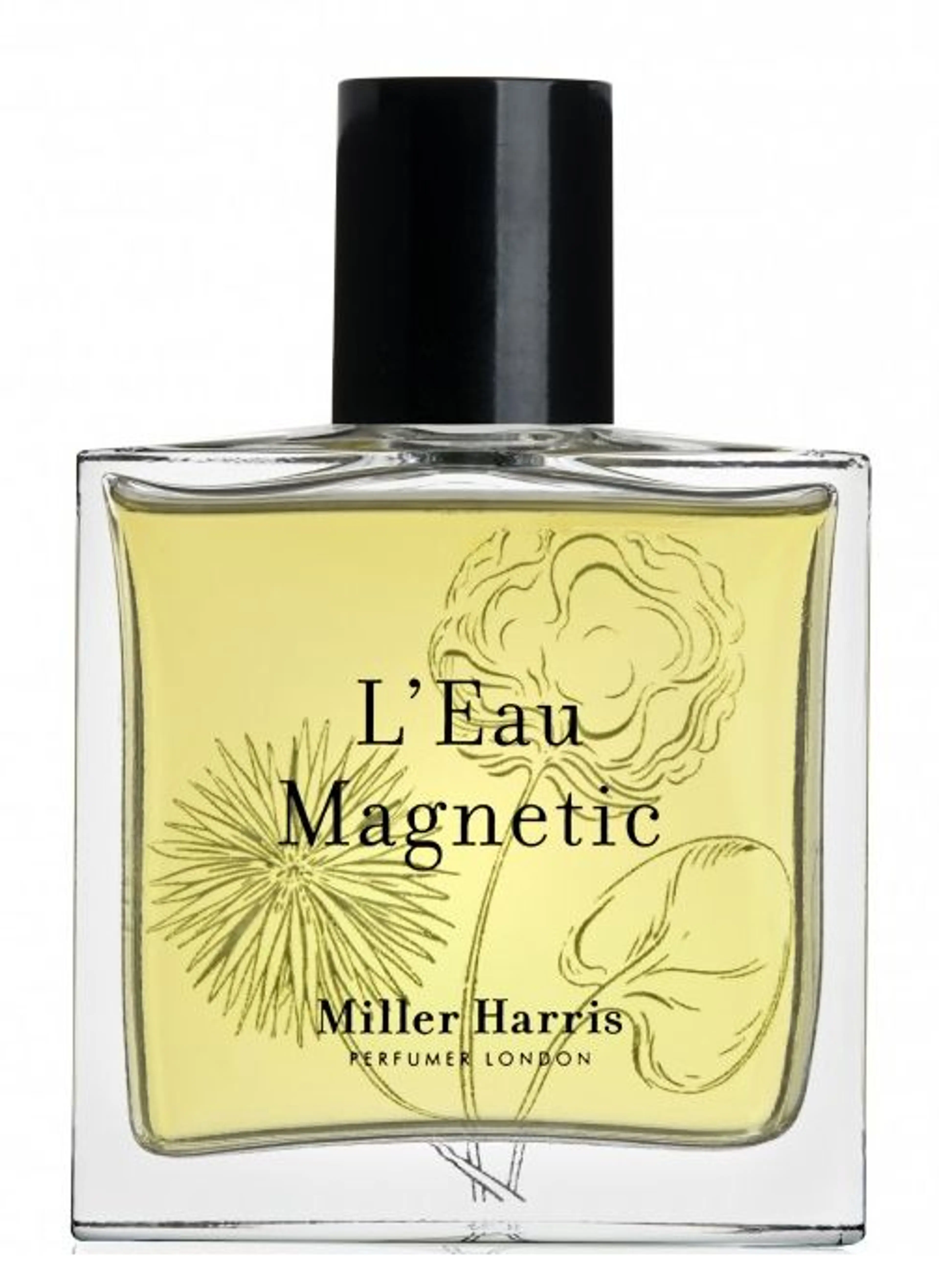 L'Eau Magnetic