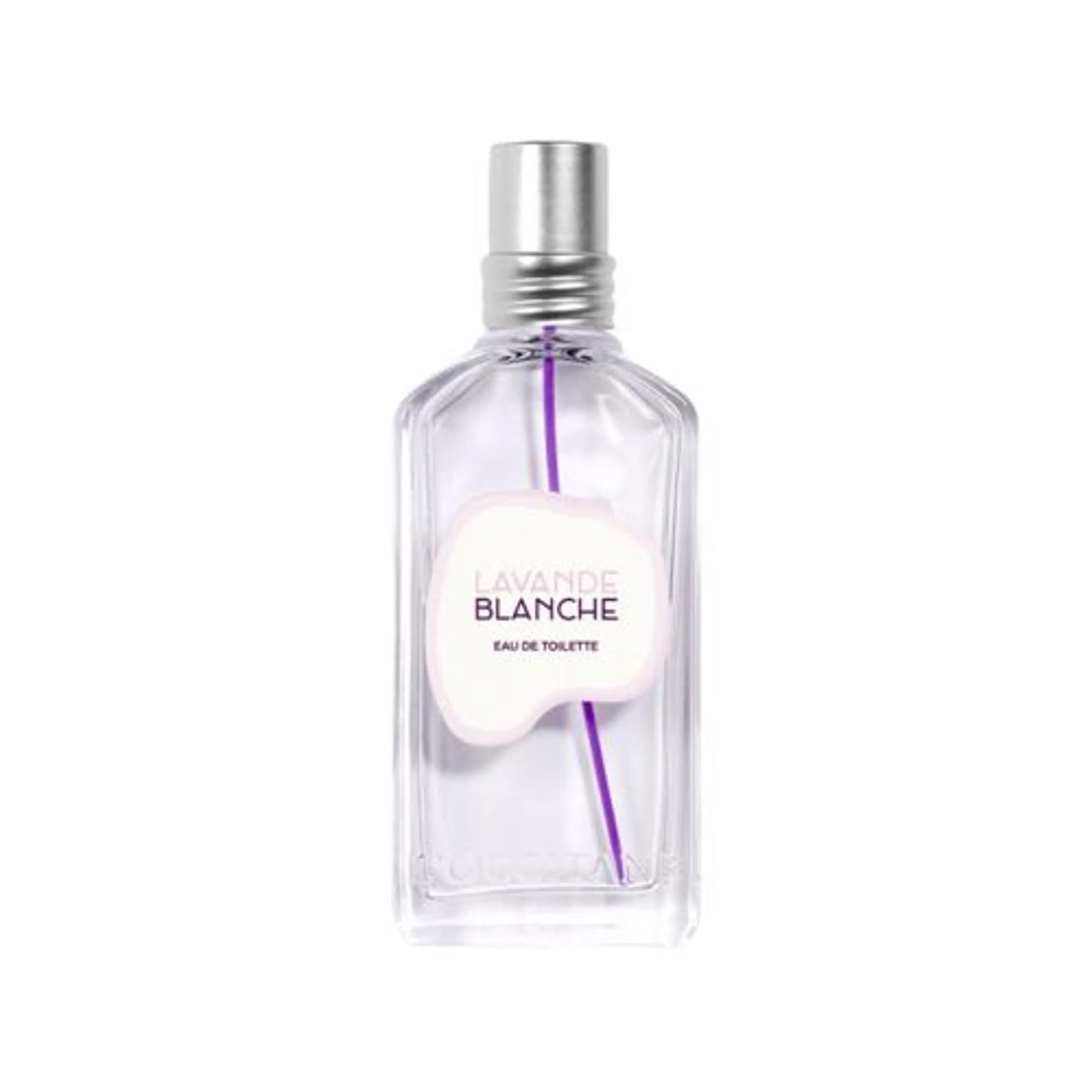 Lavande Blanche