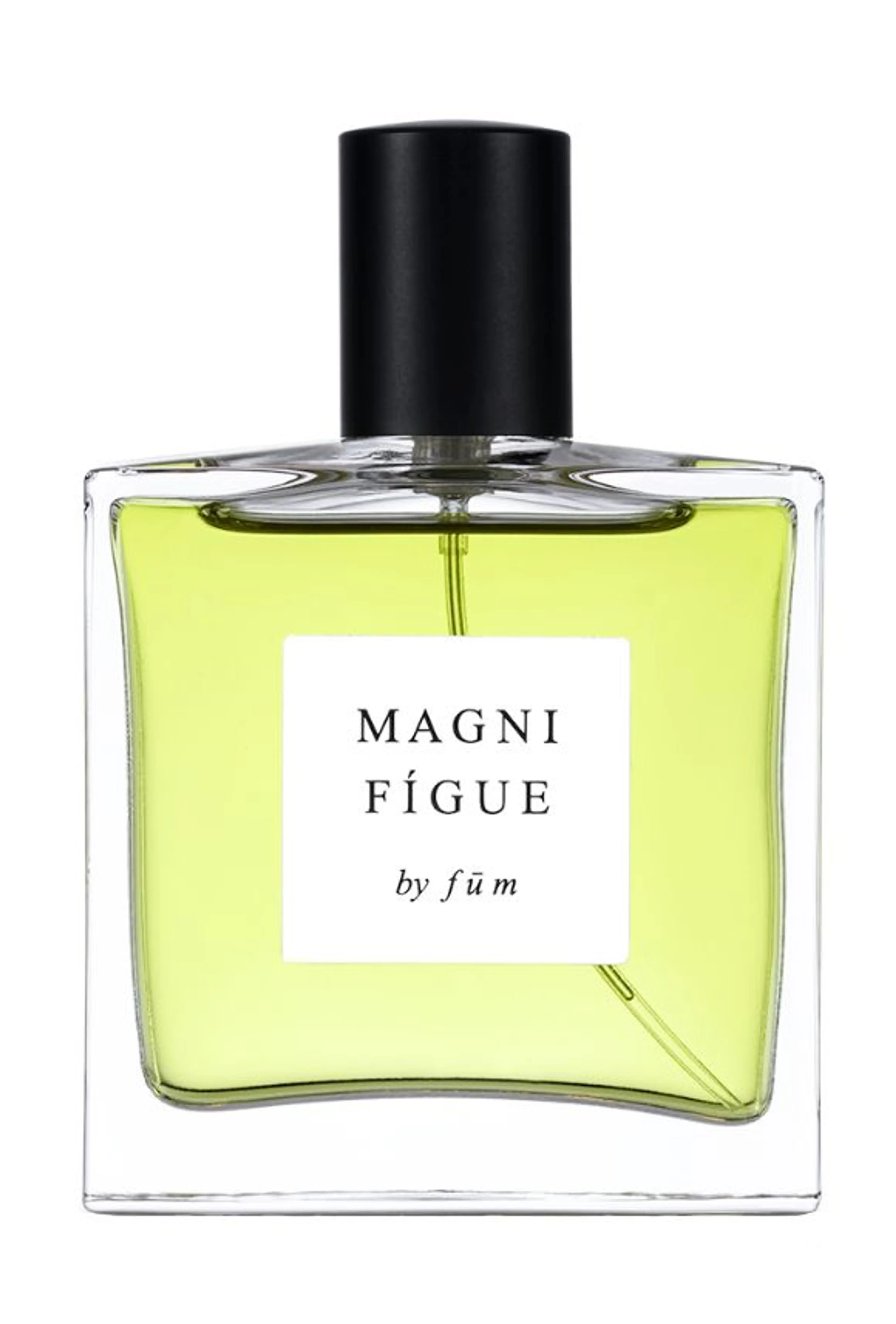 Magnifígue