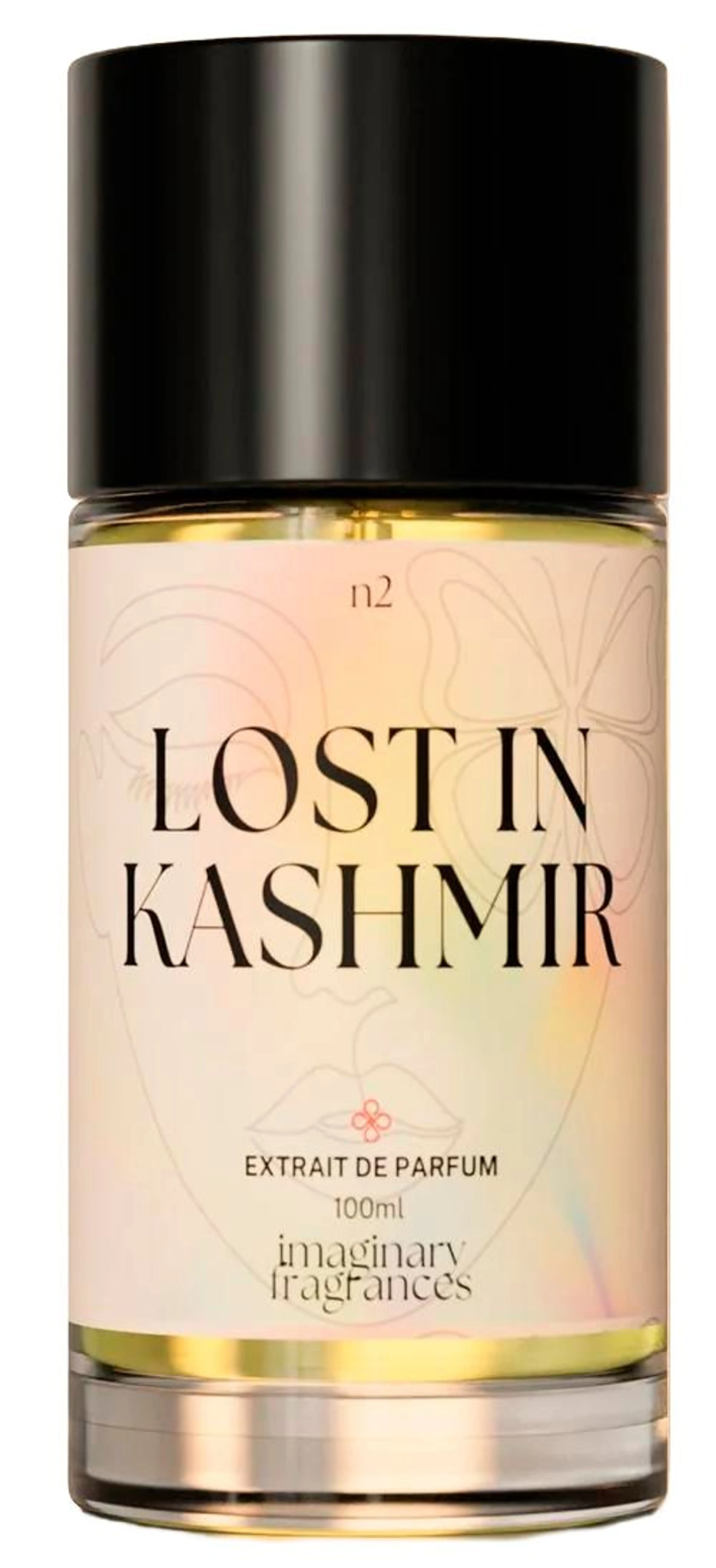 Lost In Kashmir