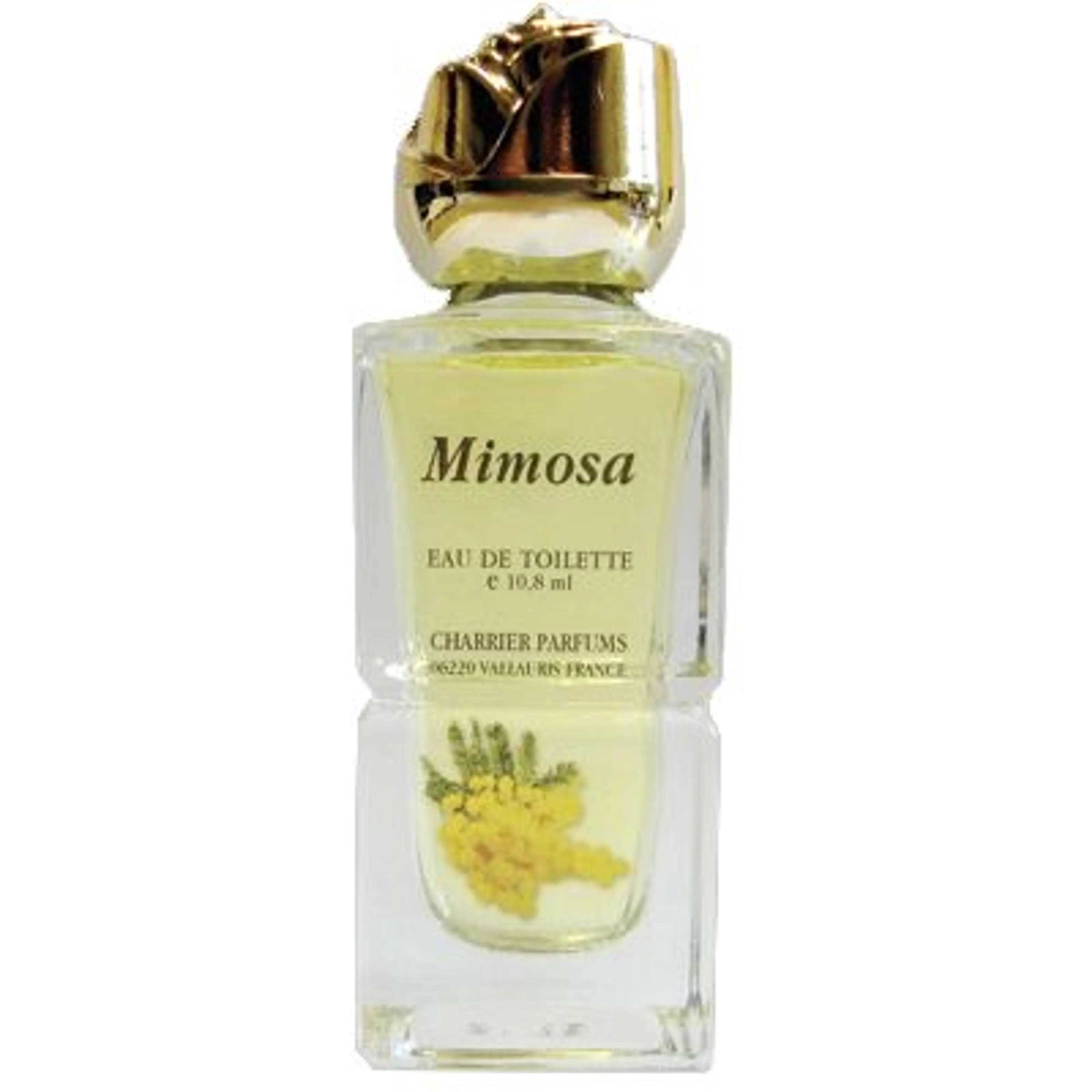 Mimosa