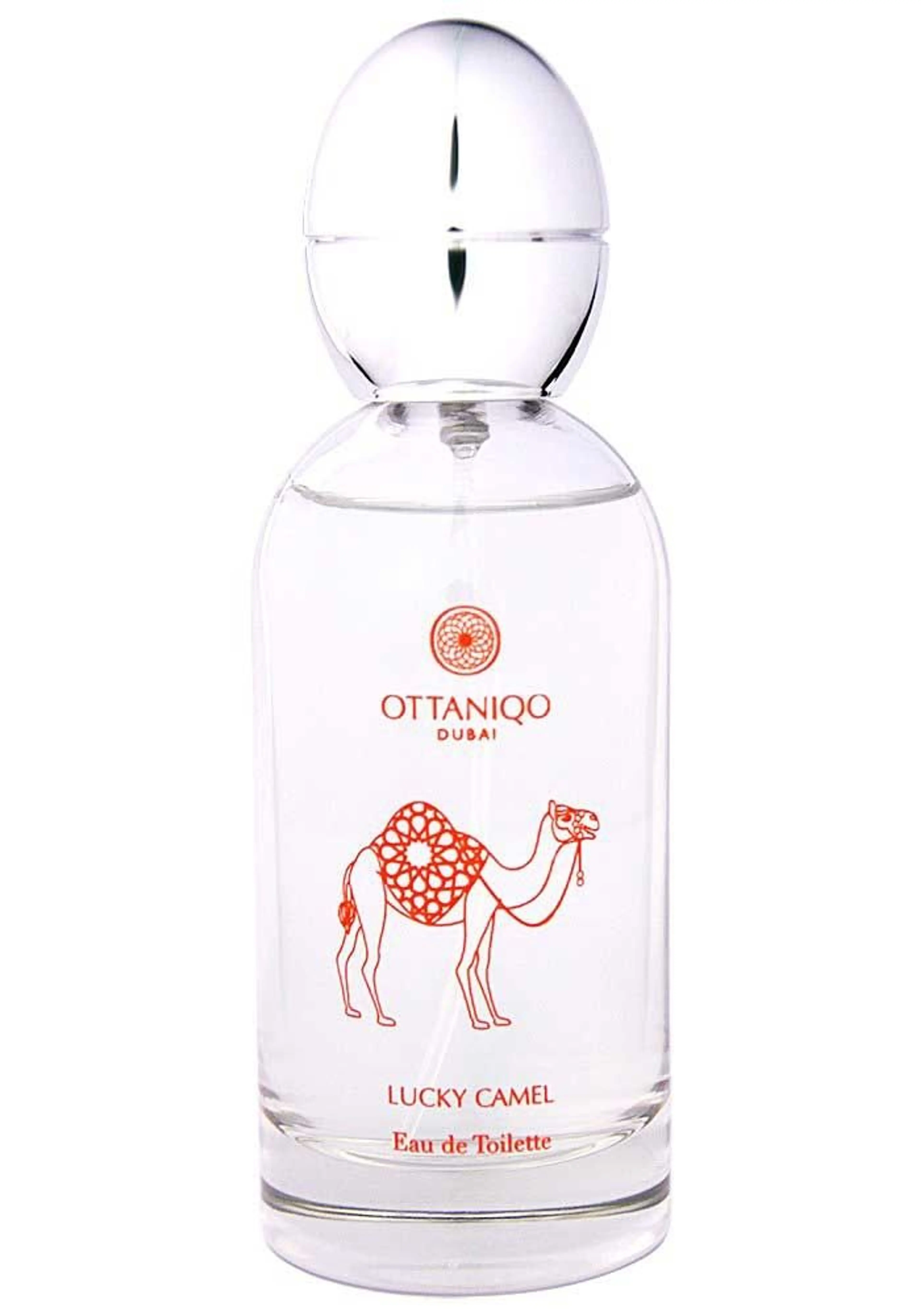 Lucky Camel